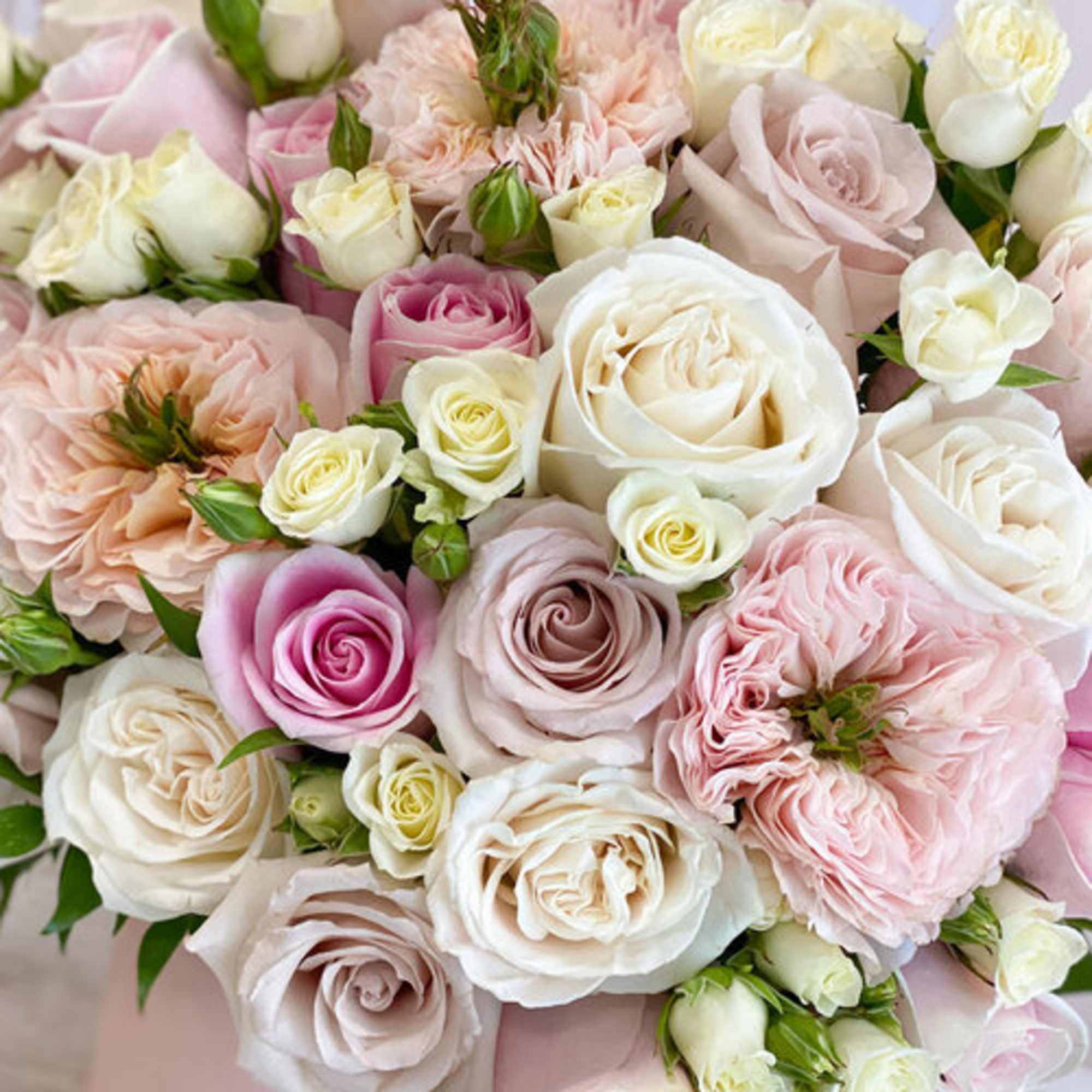 Bouquet of pale pink and white roses with blush blooms