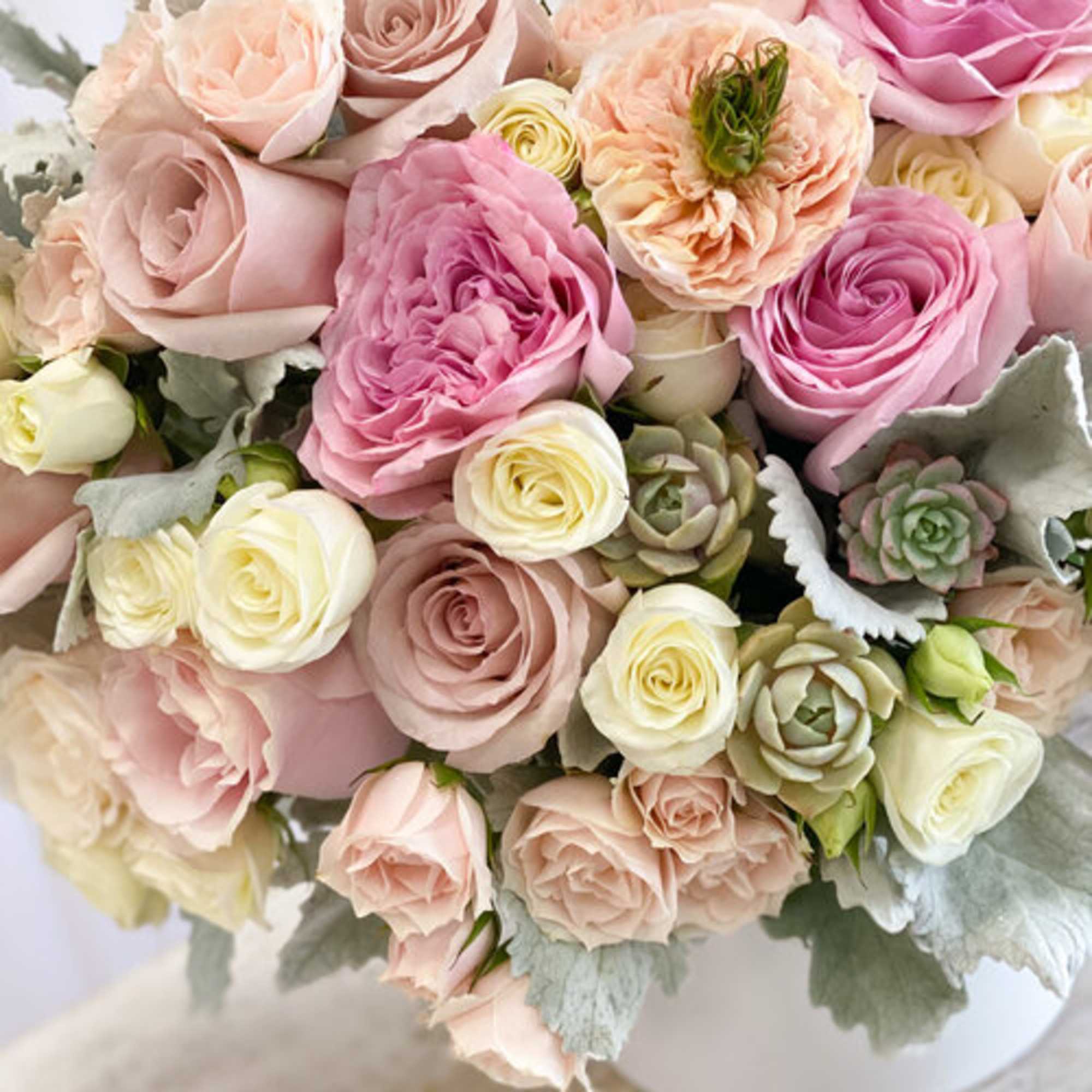 Bouquet of pink and cream roses with pale succulents