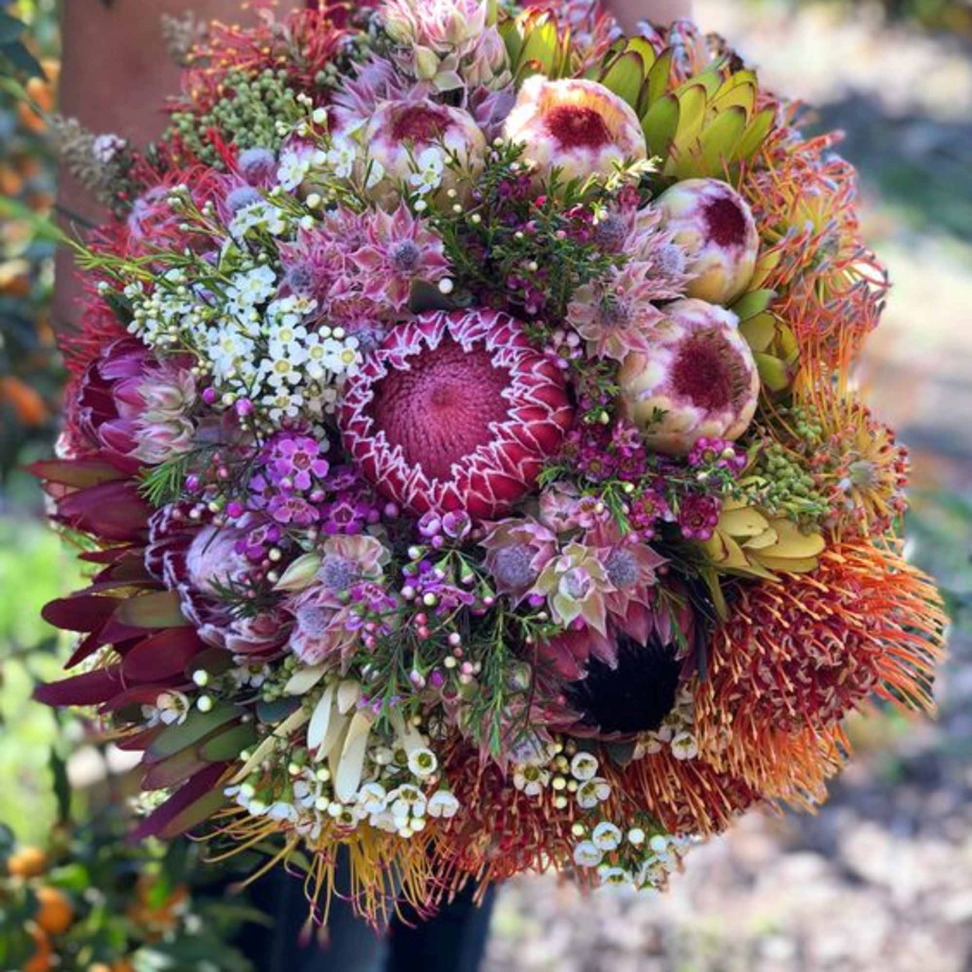 Large bouquet of pink and orange protea flowers