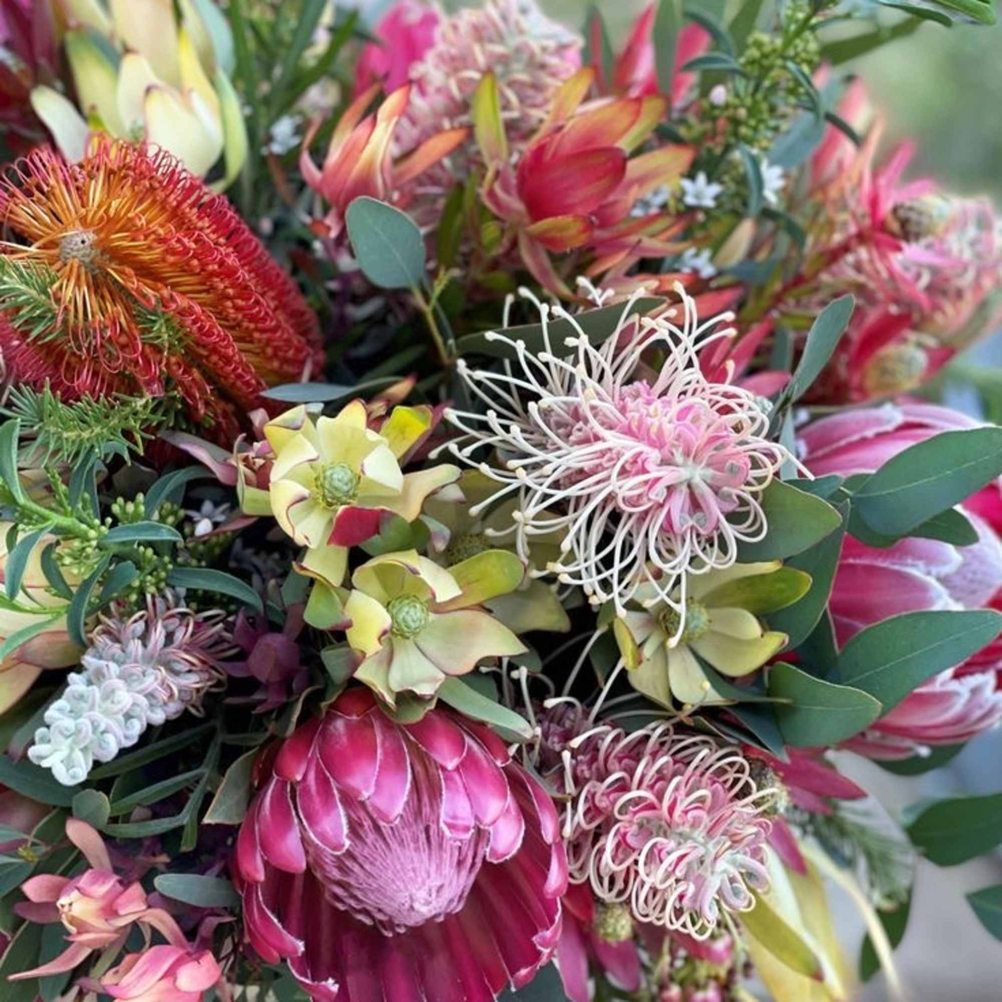Bouquet of pink and cream proteas with eucalyptus
