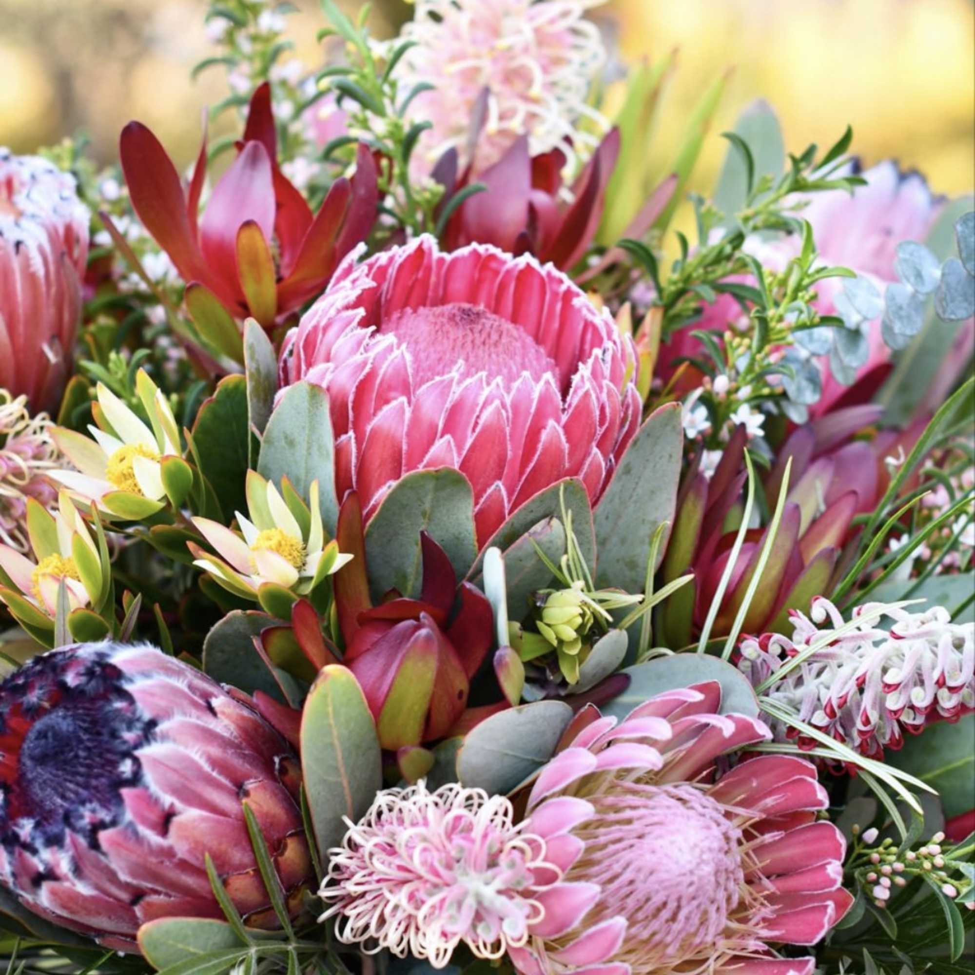 Bouquet with pink protea and mixed pink flowers