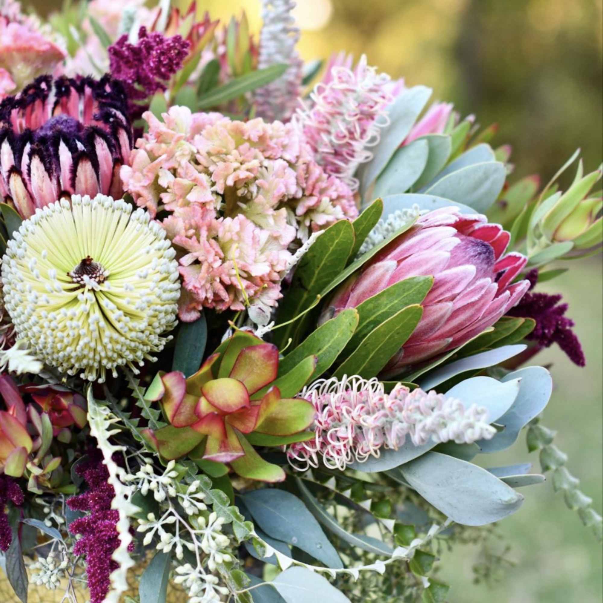 Bouquet of pink and cream protea with mixed greenery