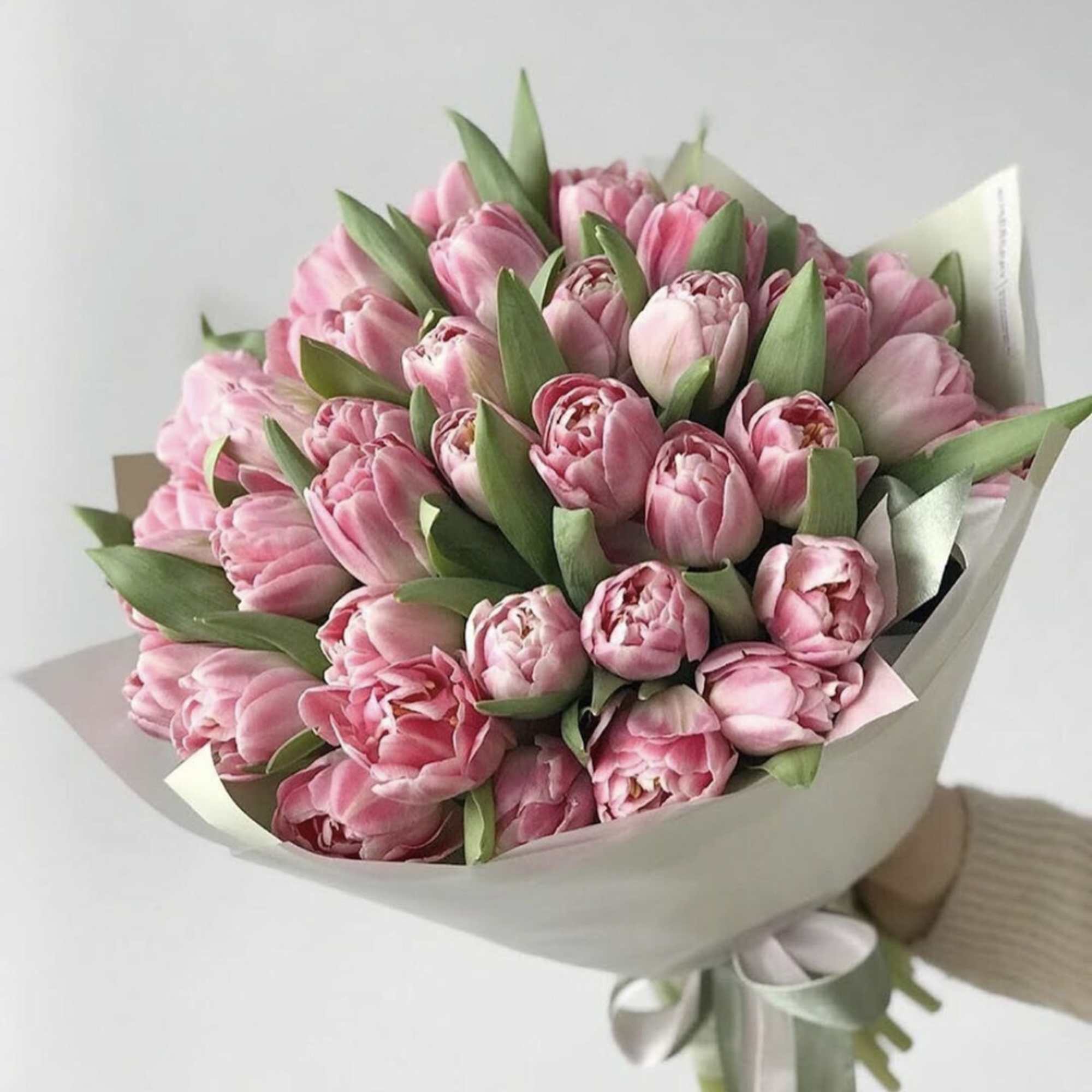 Bouquet of pink tulips wrapped in pale paper