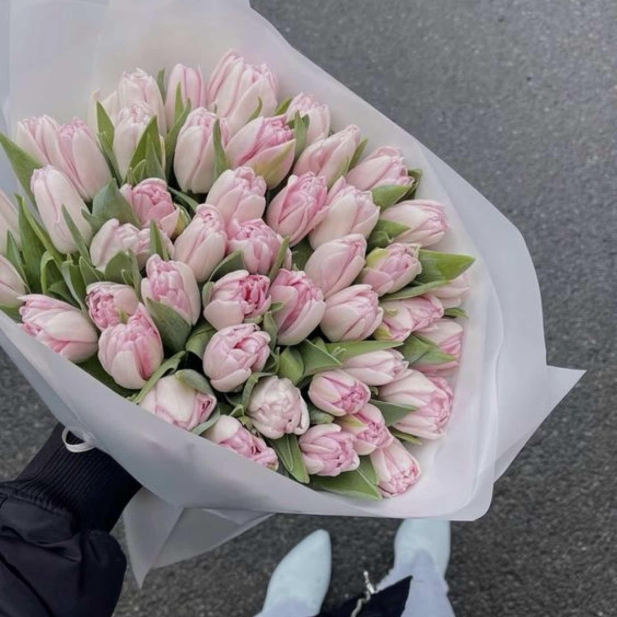 Bouquet of pale pink tulips wrapped in white paper