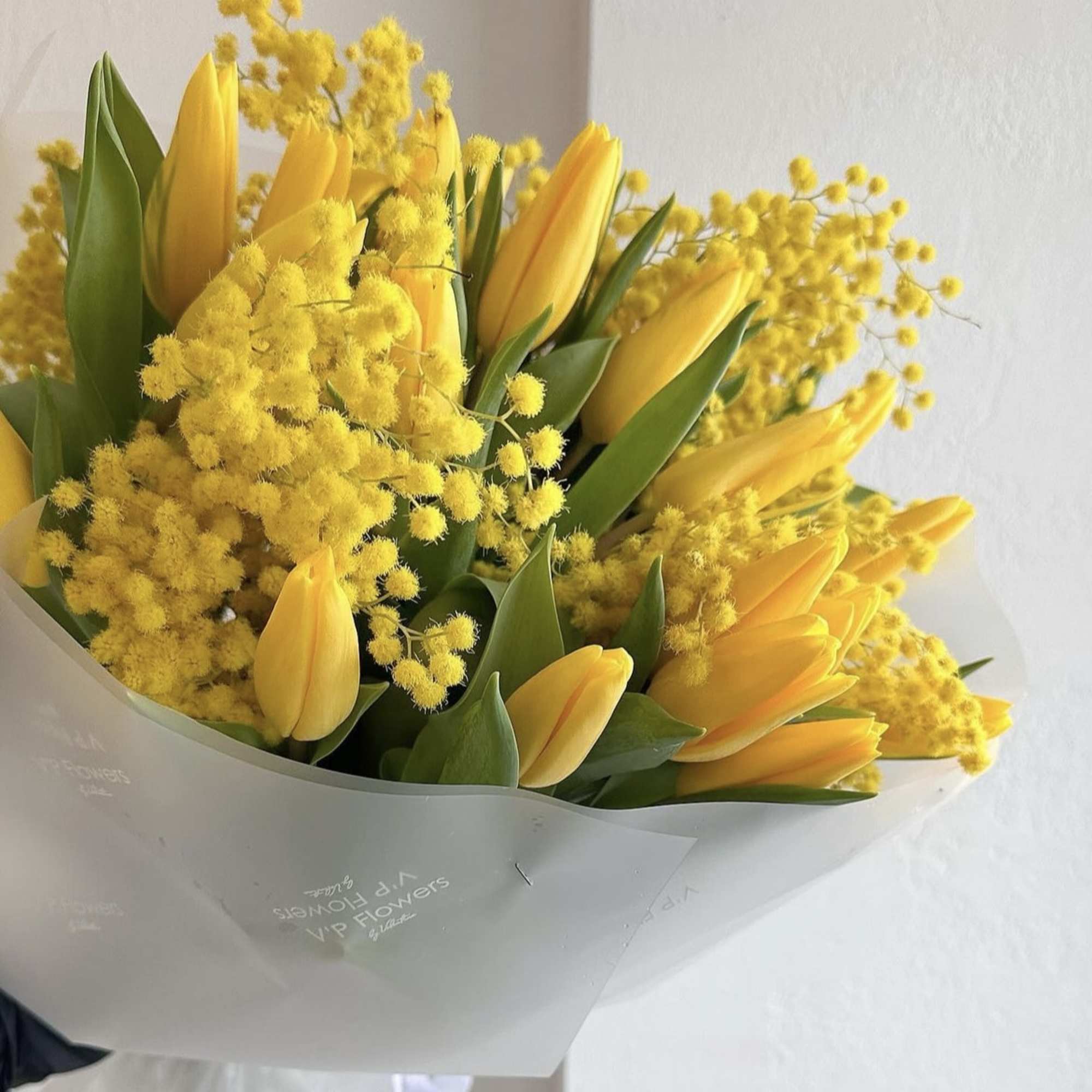 Bouquet of yellow tulips and fluffy yellow blossoms wrapped in white paper