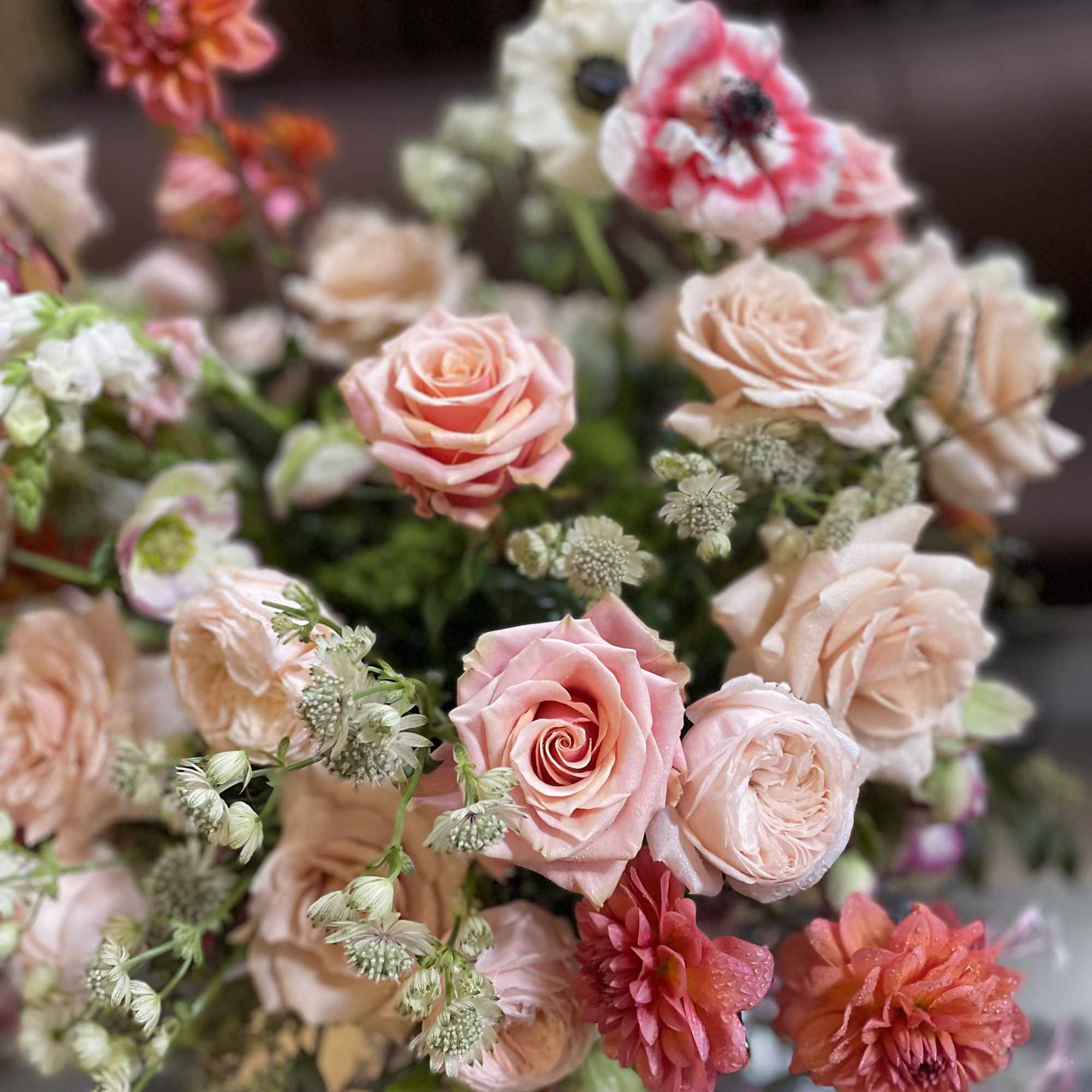 Bouquet of blush roses and coral dahlias with small white filler flowers