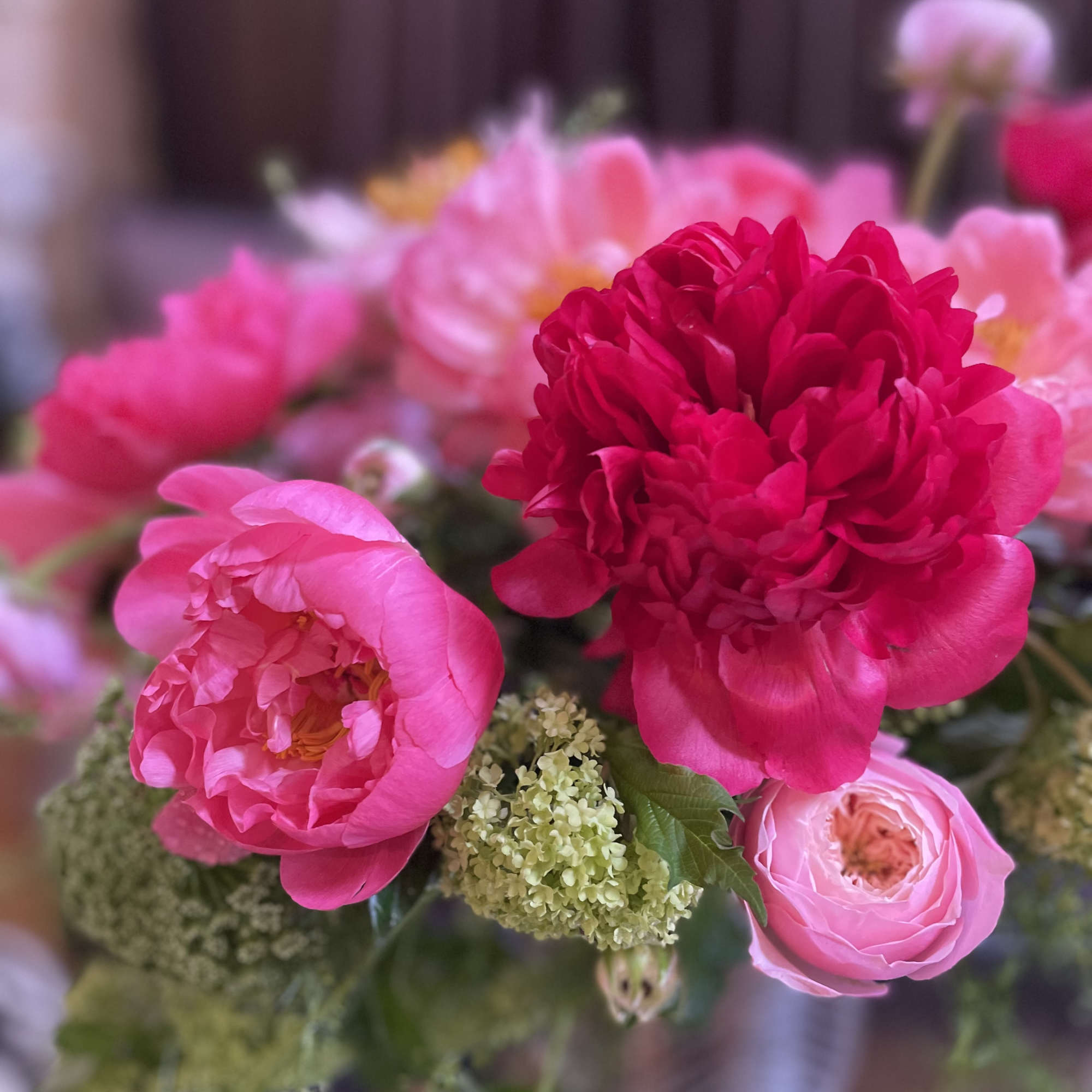 Pink peonies and roses in a bouquet
