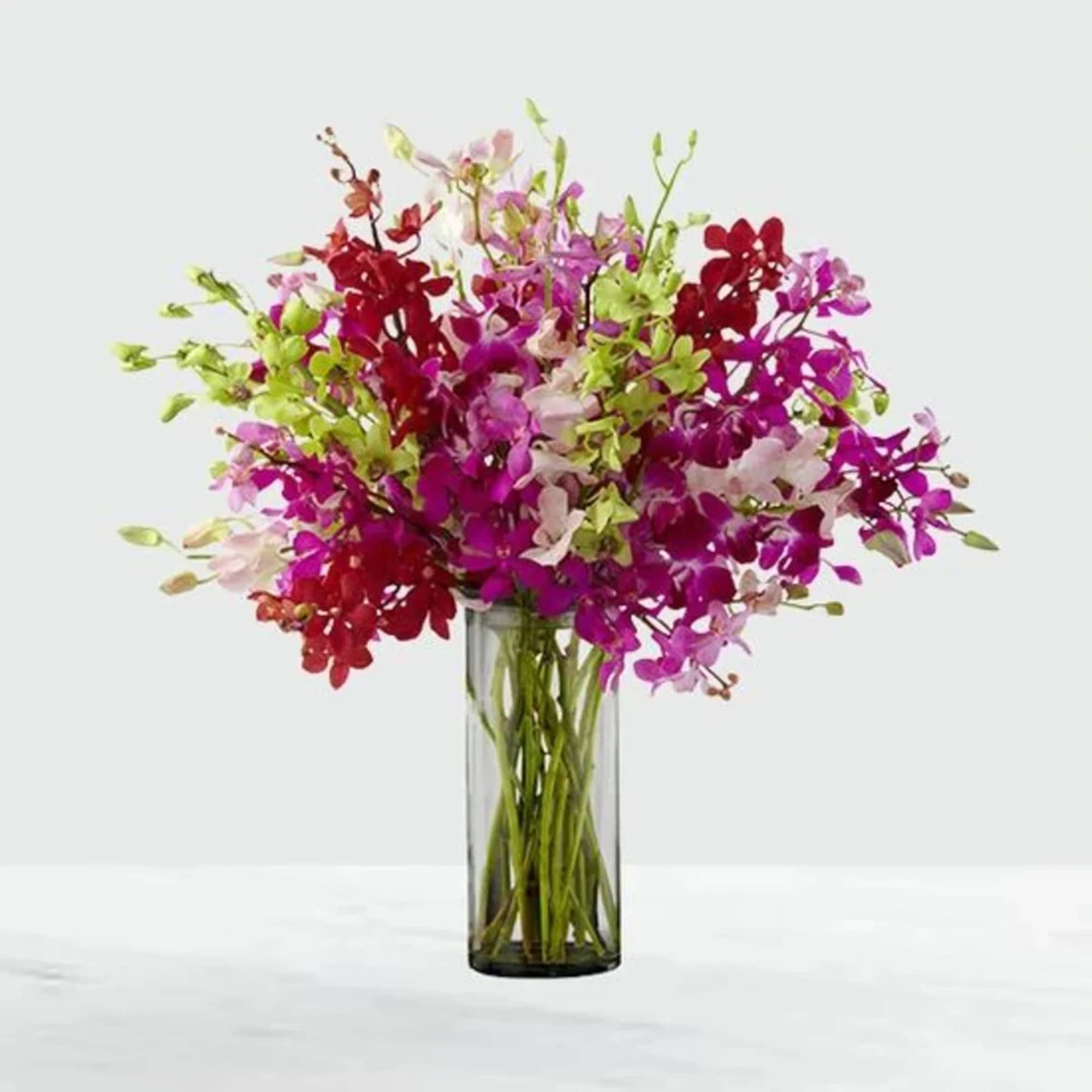 Bouquet of colorful orchids in a clear glass vase