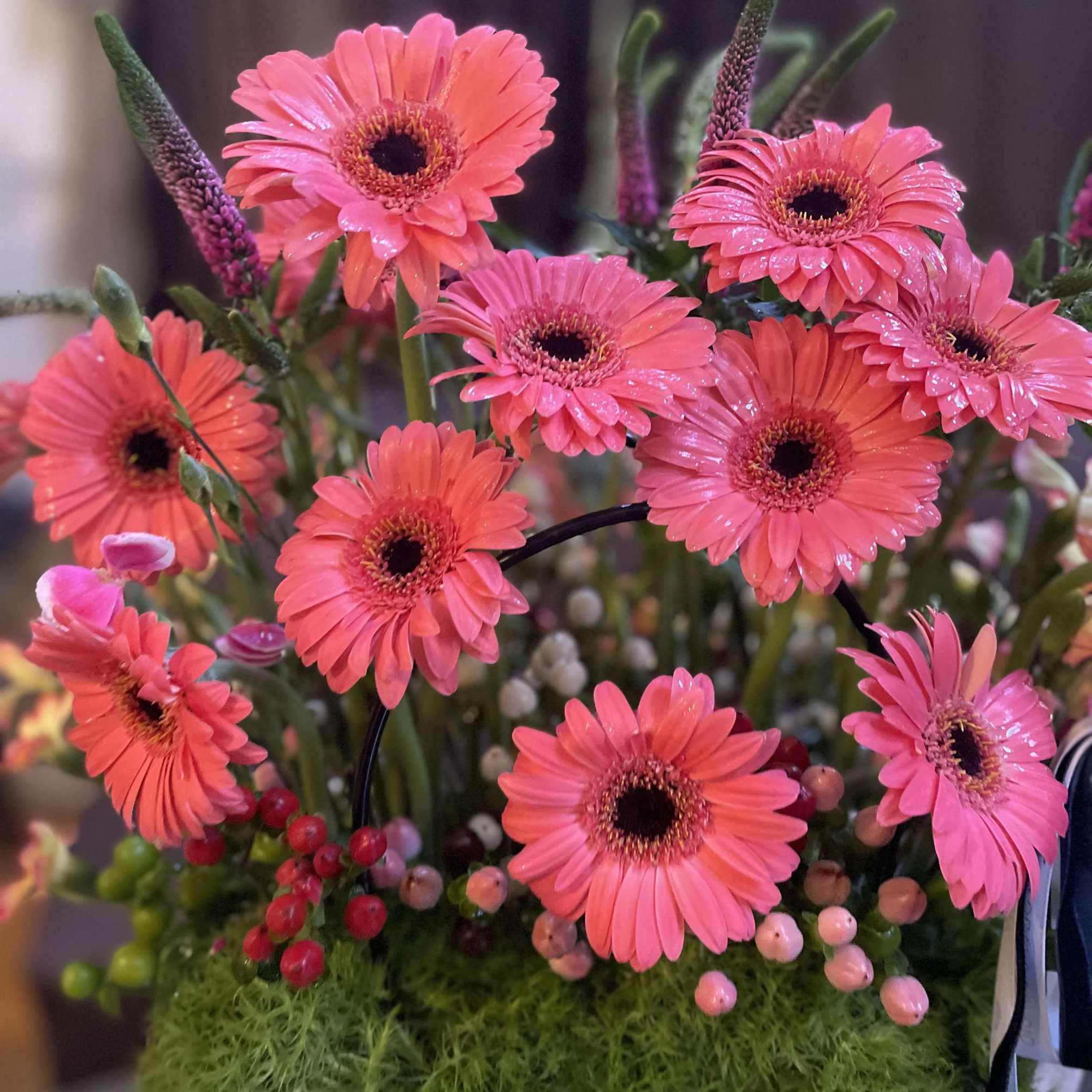 Pink gerbera daisies in a vase with berry accents