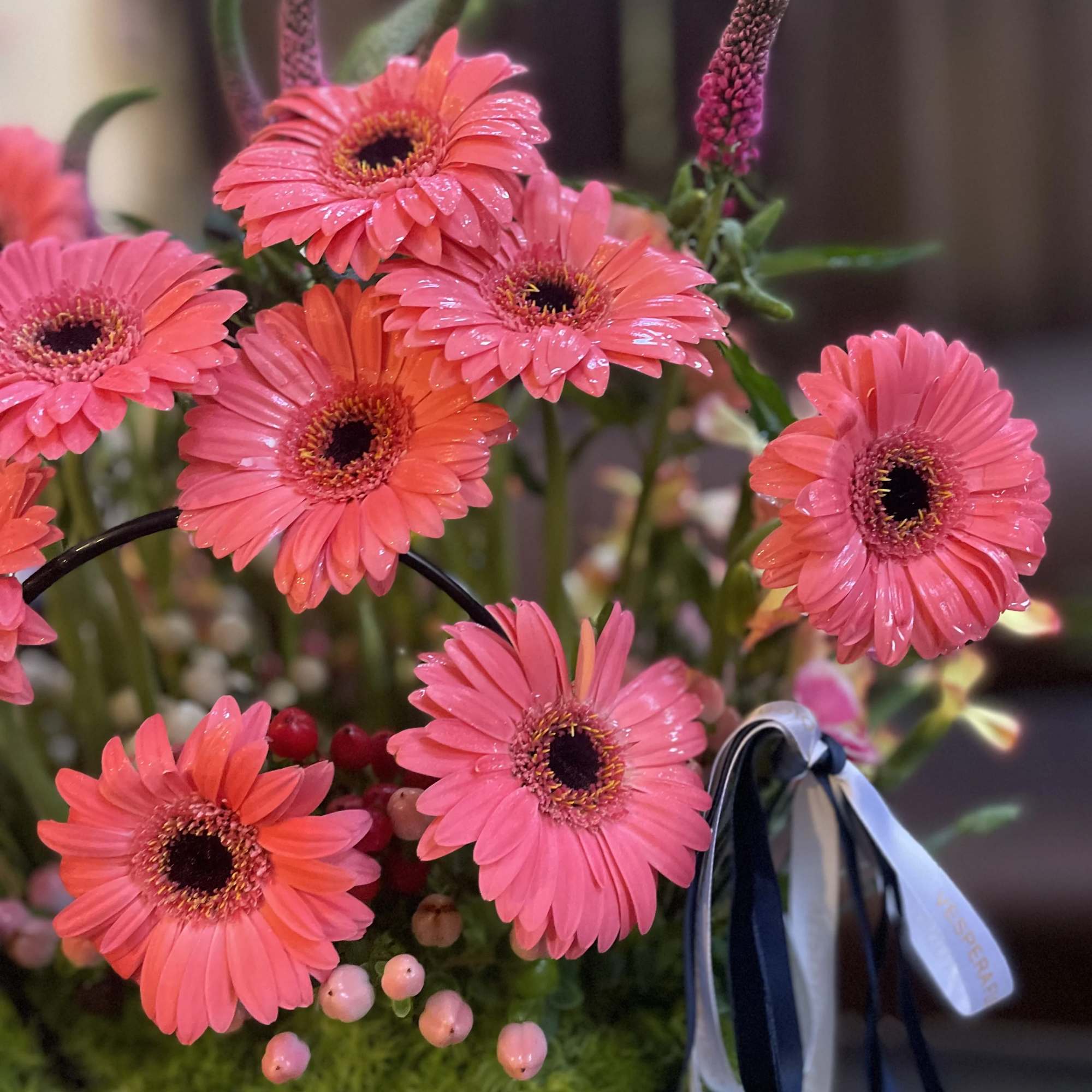 Pink gerbera daisies arranged with ribbon accents