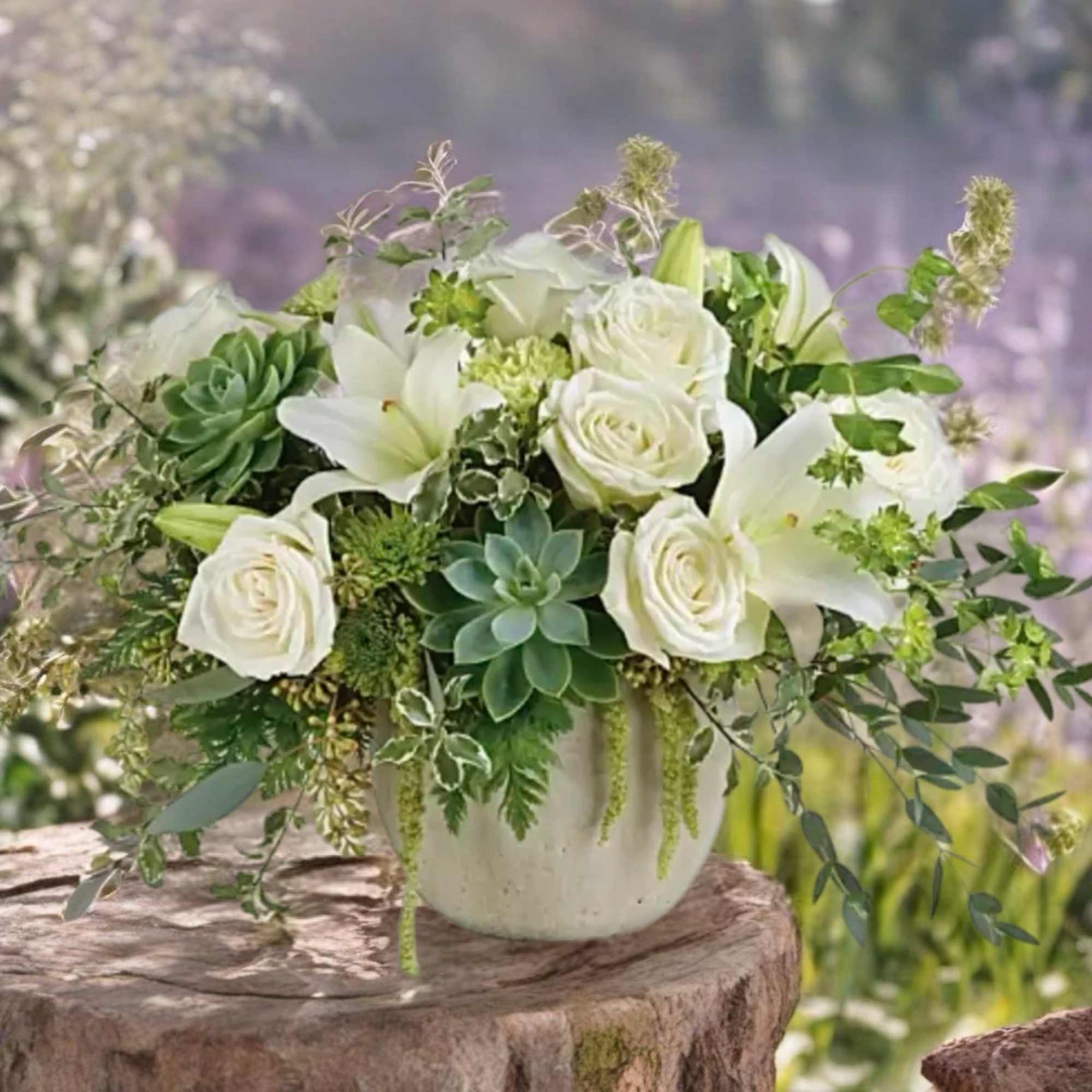White roses and lilies arranged with succulents in a white vase