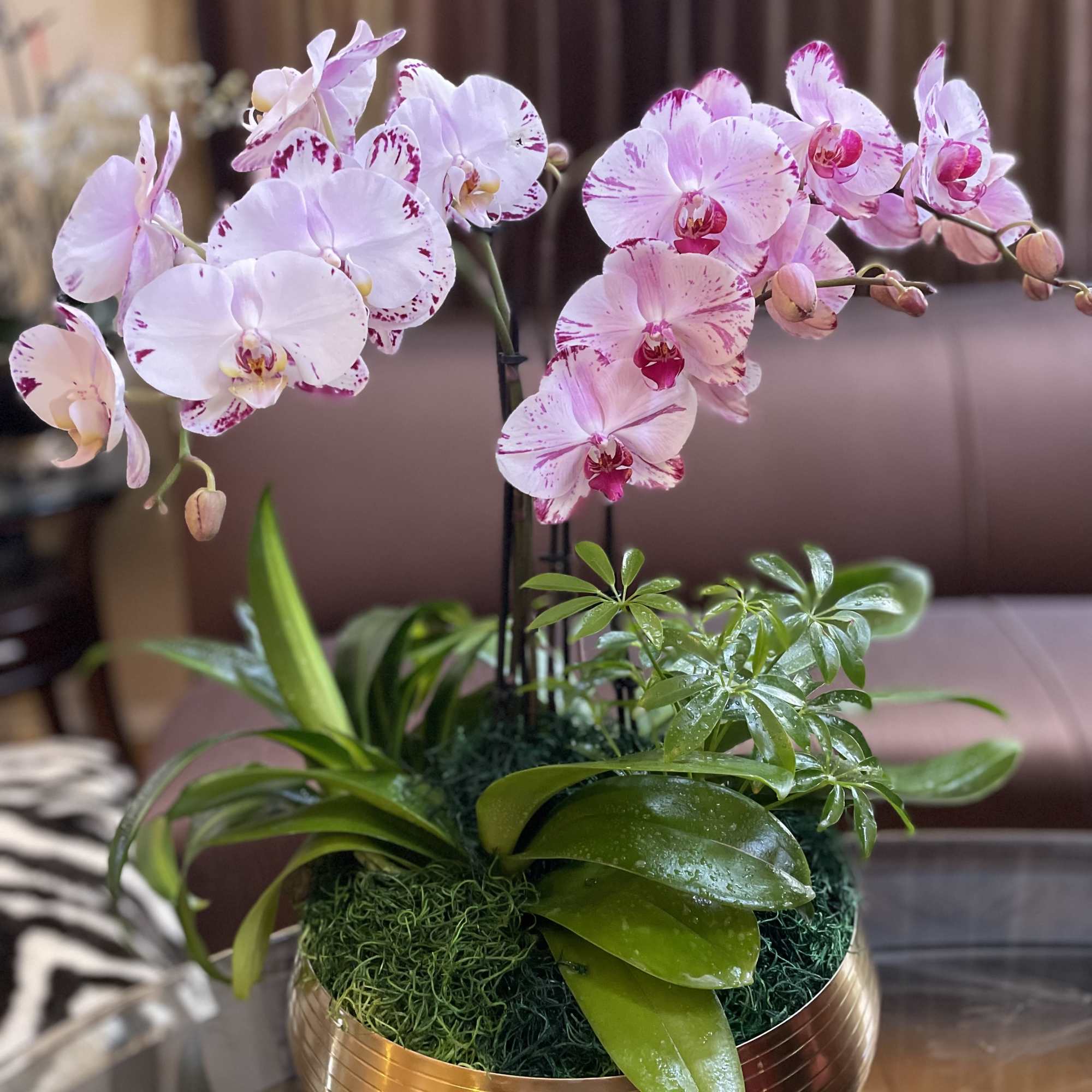 Pink and white orchids arranged in a gold bowl planter