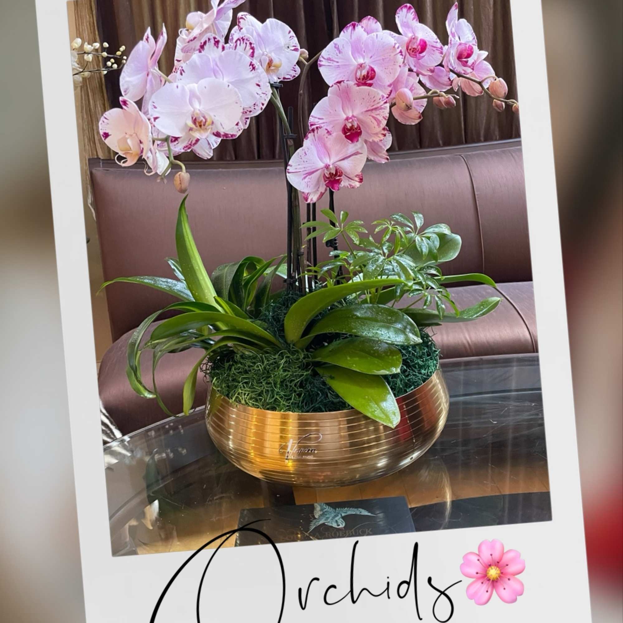 Pink orchids arranged in a gold bowl planter