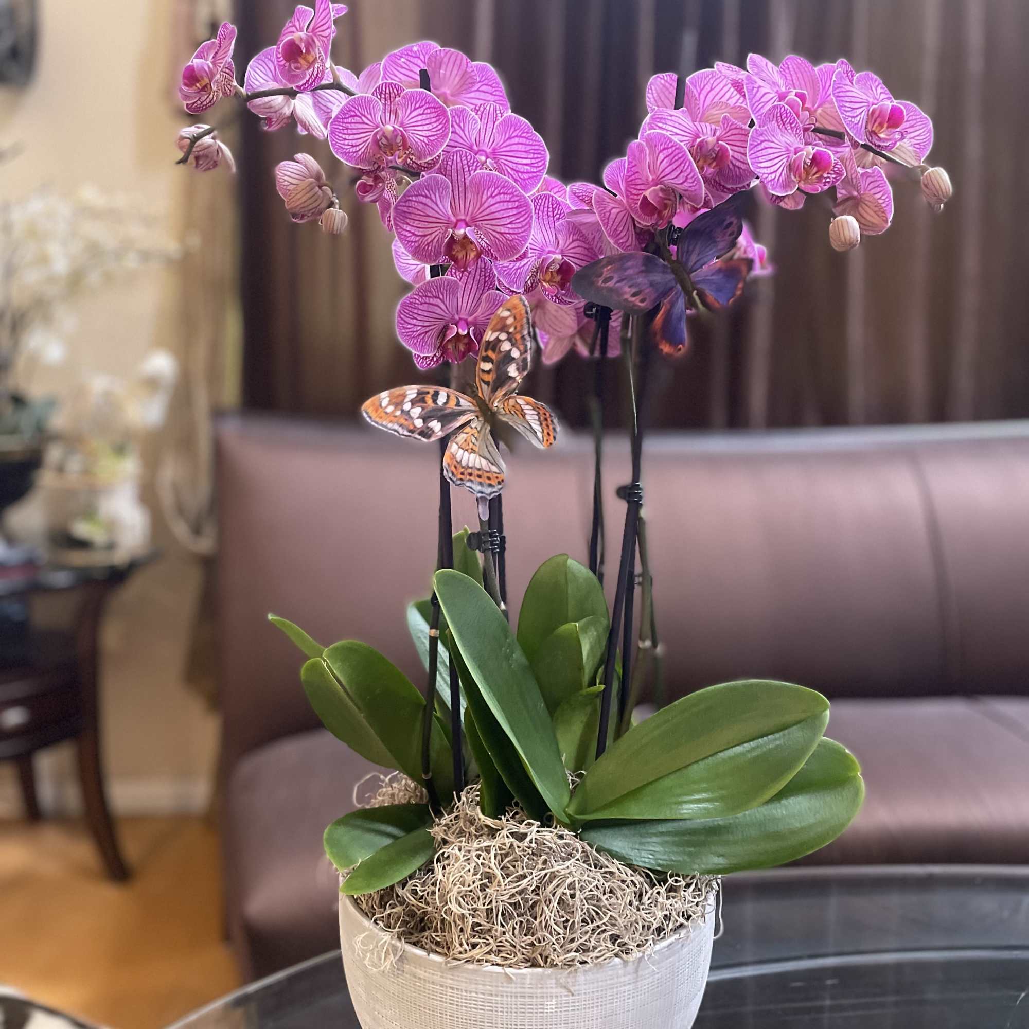 Pink orchids in a white pot with decorative butterflies