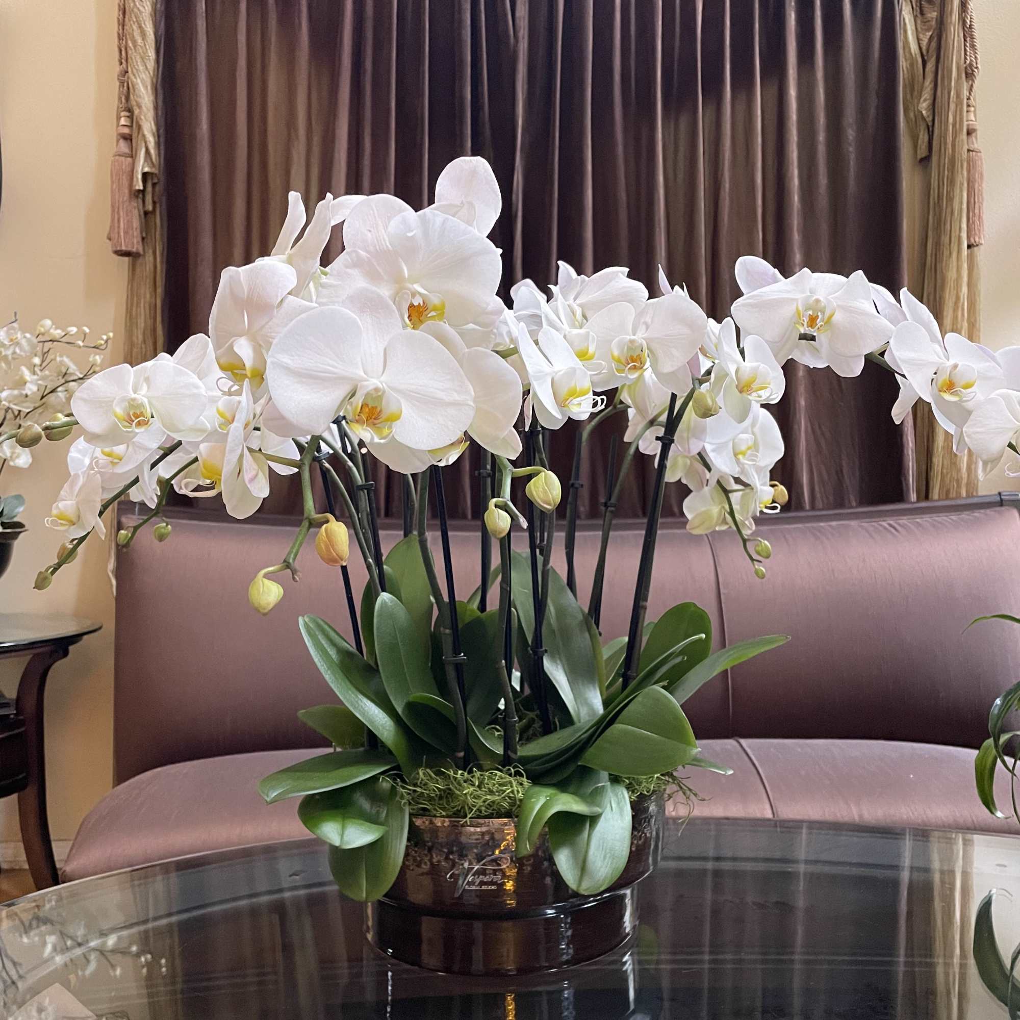 White orchid arrangement in a low dark container on a glass table