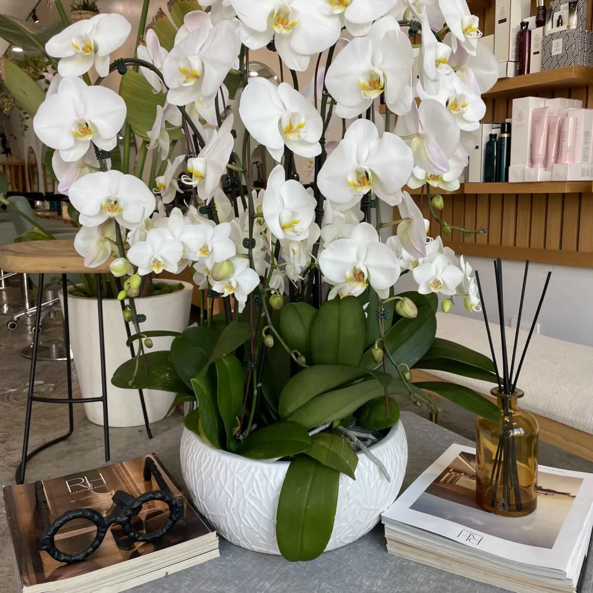 White orchid arrangement in a white bowl planter