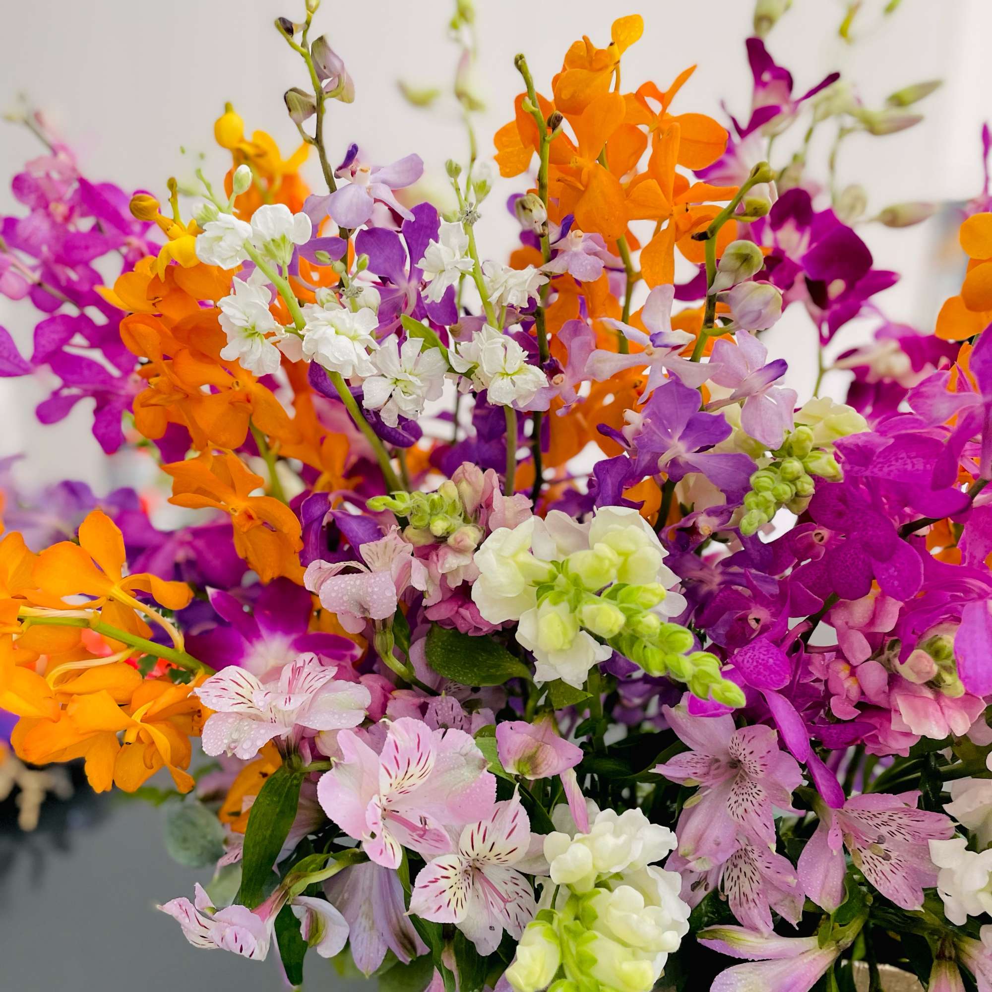 Bright bouquet of purple, orange, pink, and white flowers