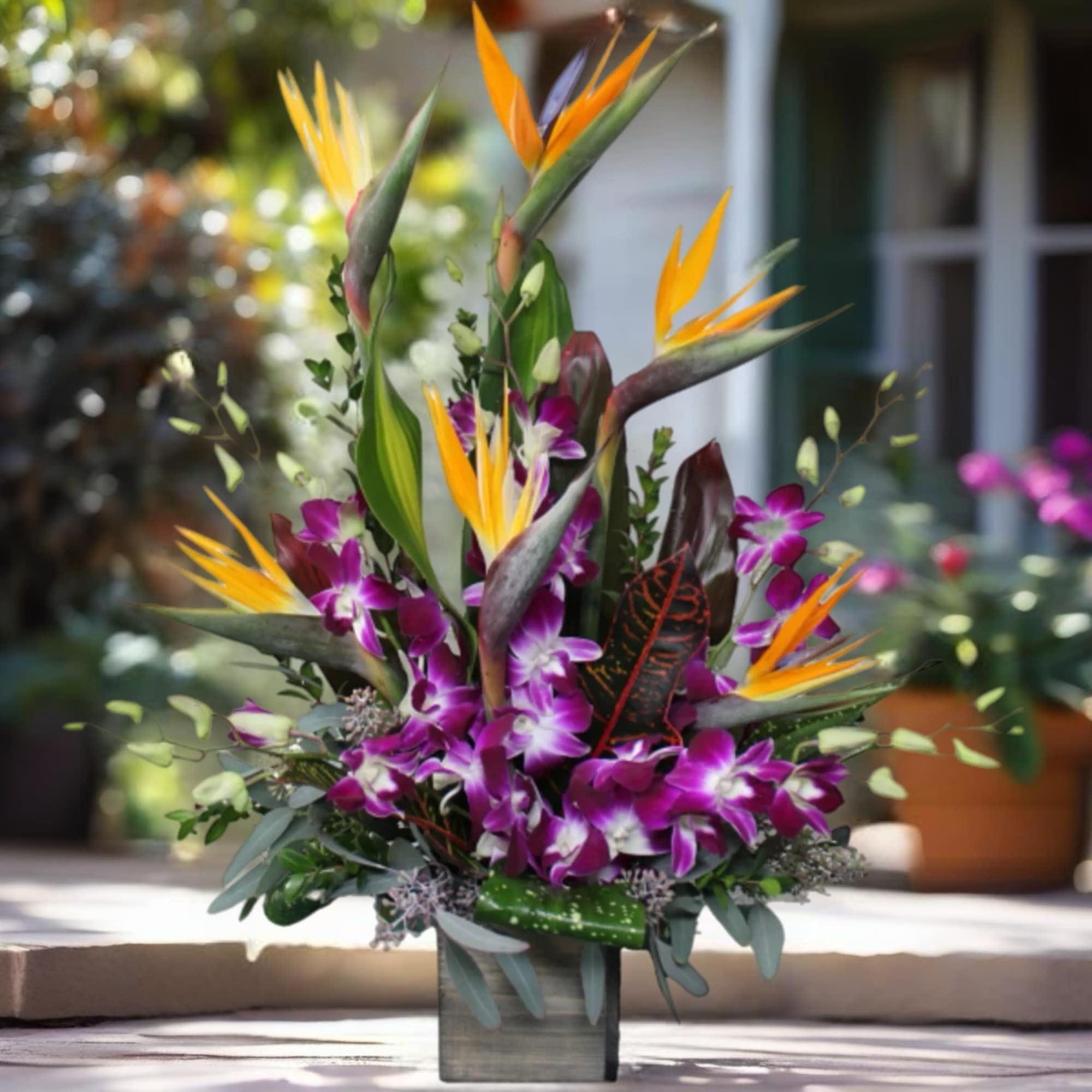 Tropical arrangement with purple orchids and orange bird-of-paradise in a square vase
