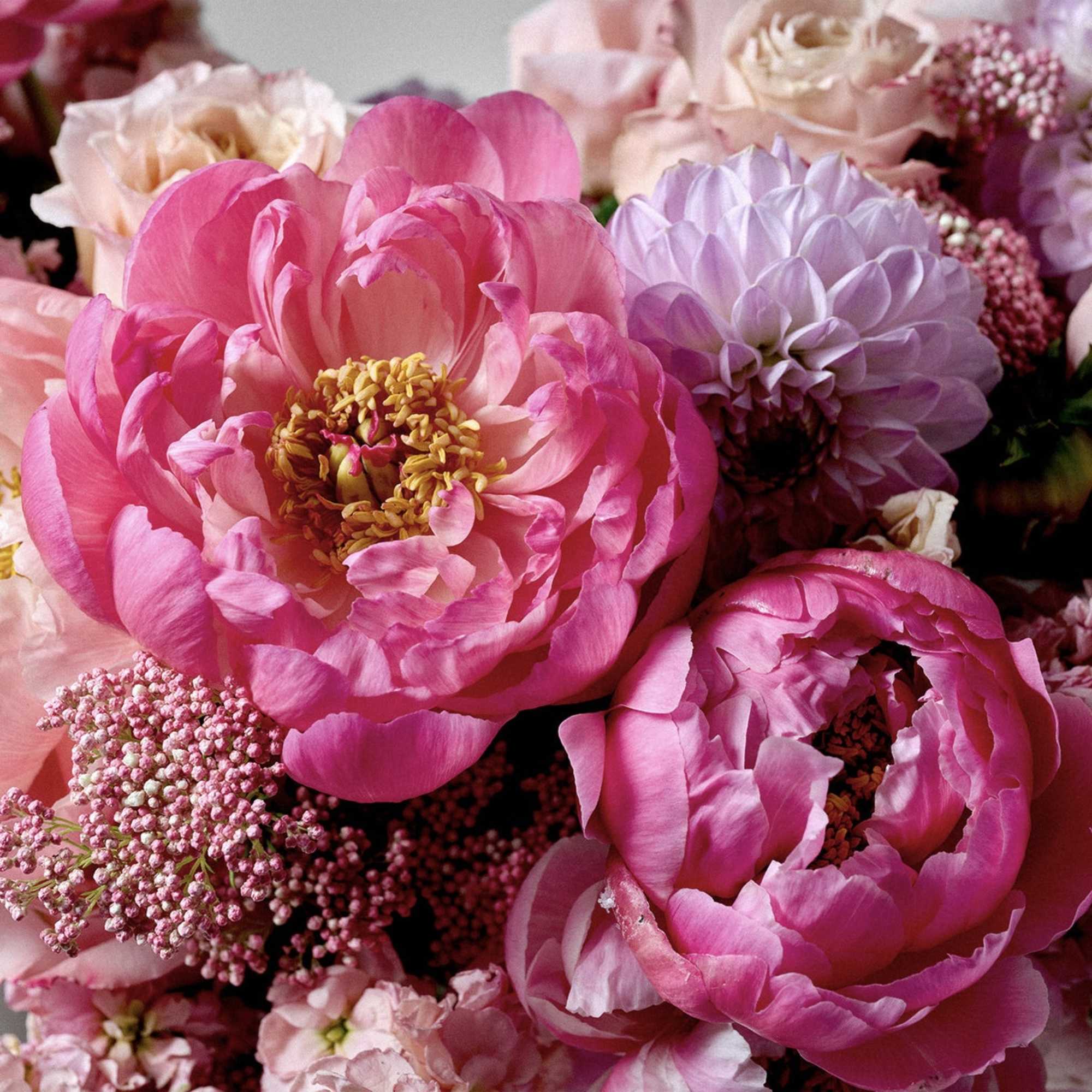 Pink and lavender peonies with small filler flowers in a close-up bouquet