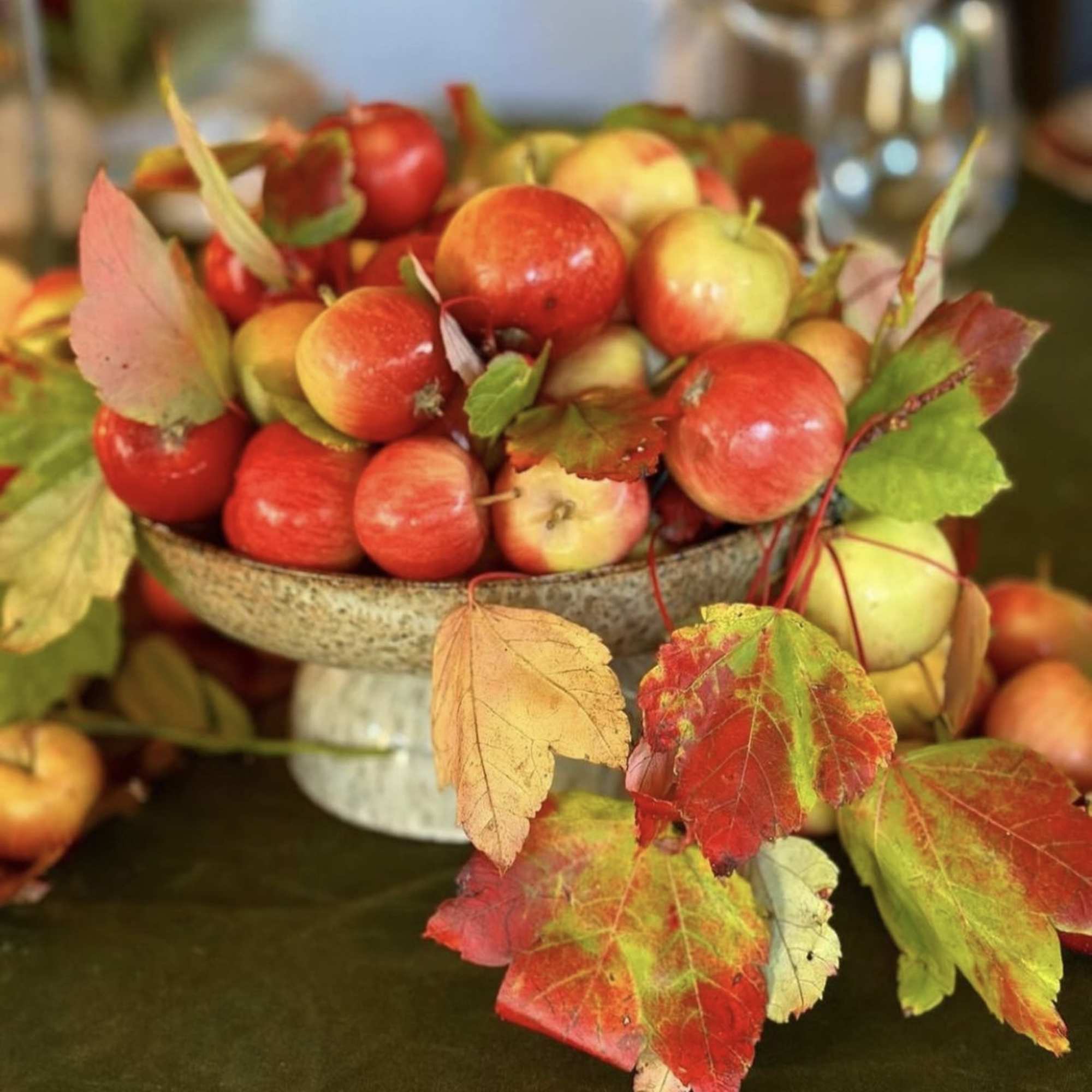 Bowl of red and yellow apples with autumn leaves