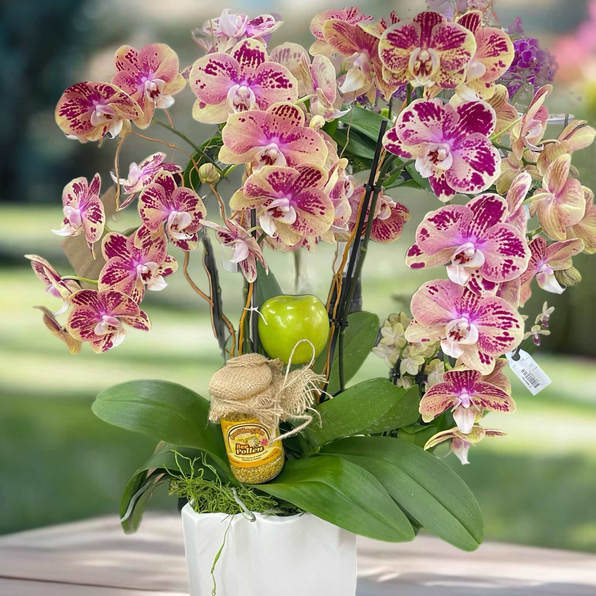 Pink and cream orchids arranged in a white pot with a small honey jar