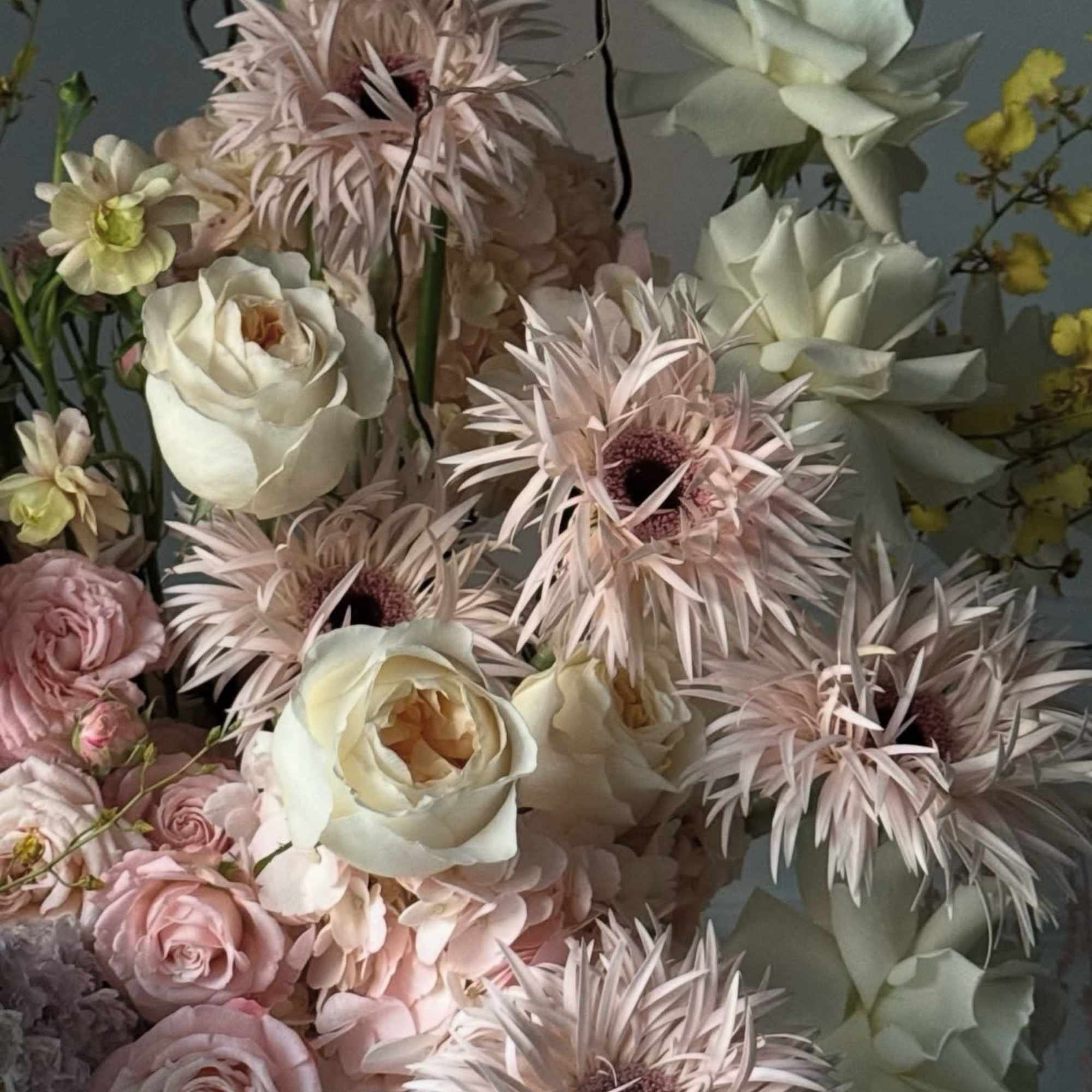 Bouquet of pale pink and white flowers with spiky blooms