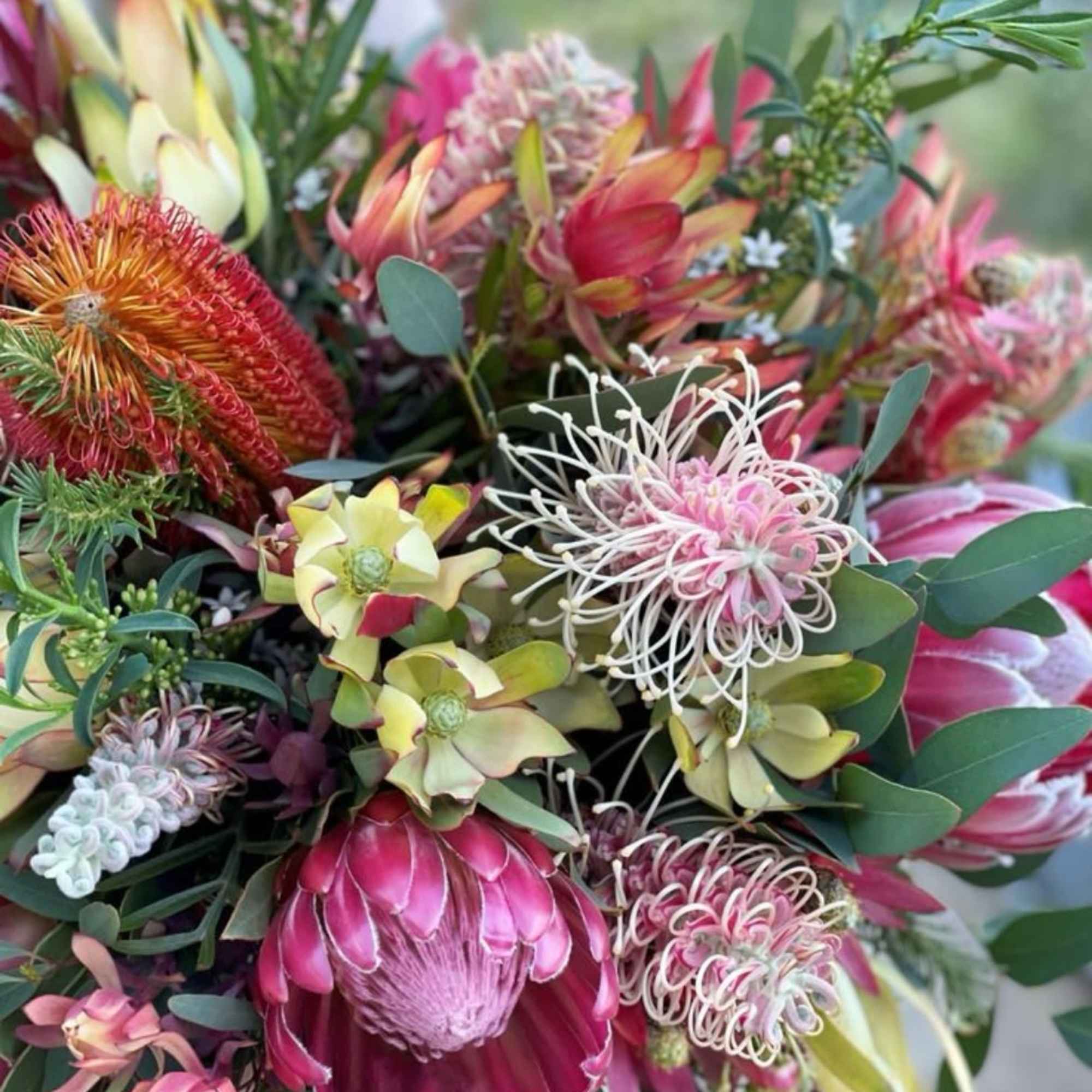 Bouquet of pink and cream protea flowers with eucalyptus