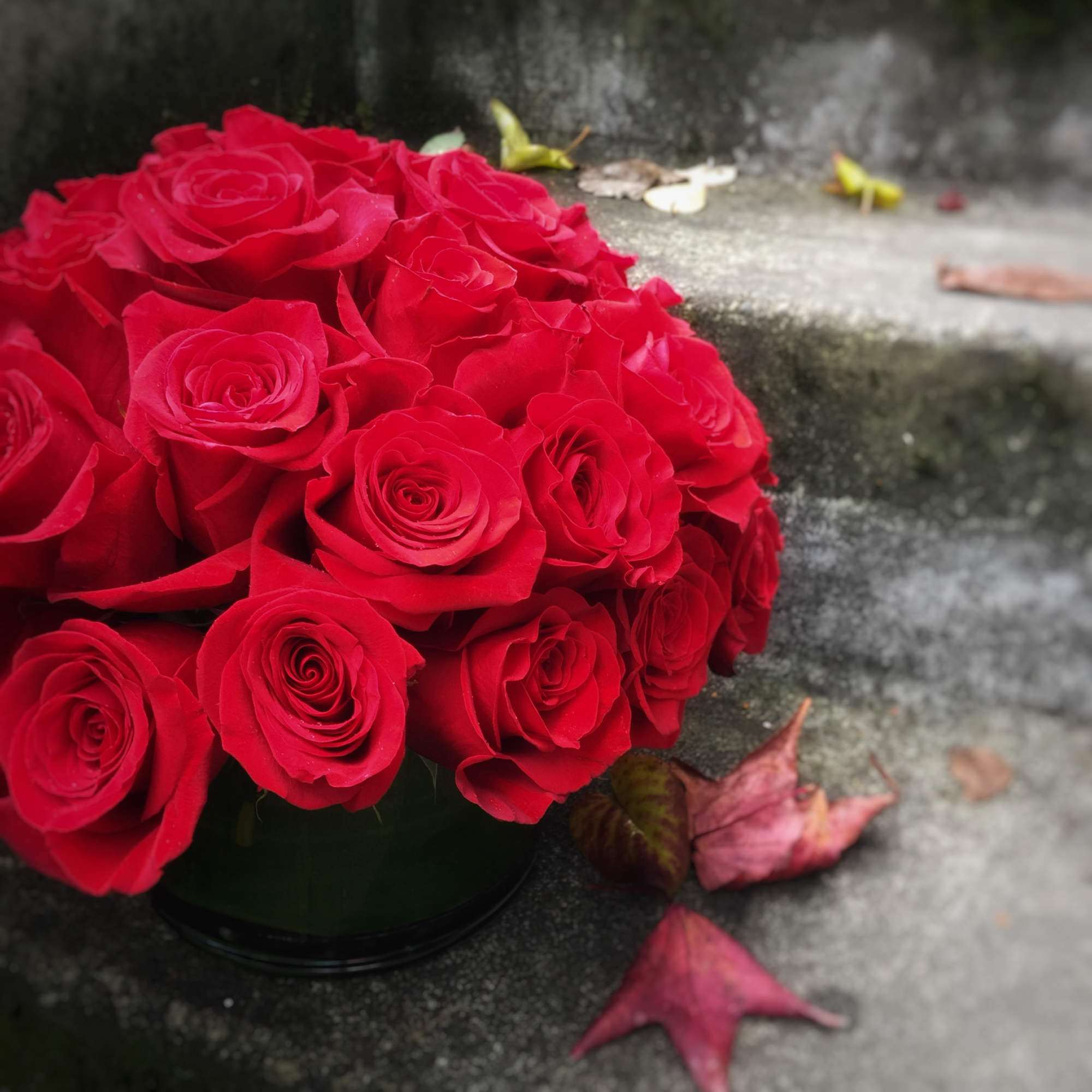Bouquet of red roses in a dark round container