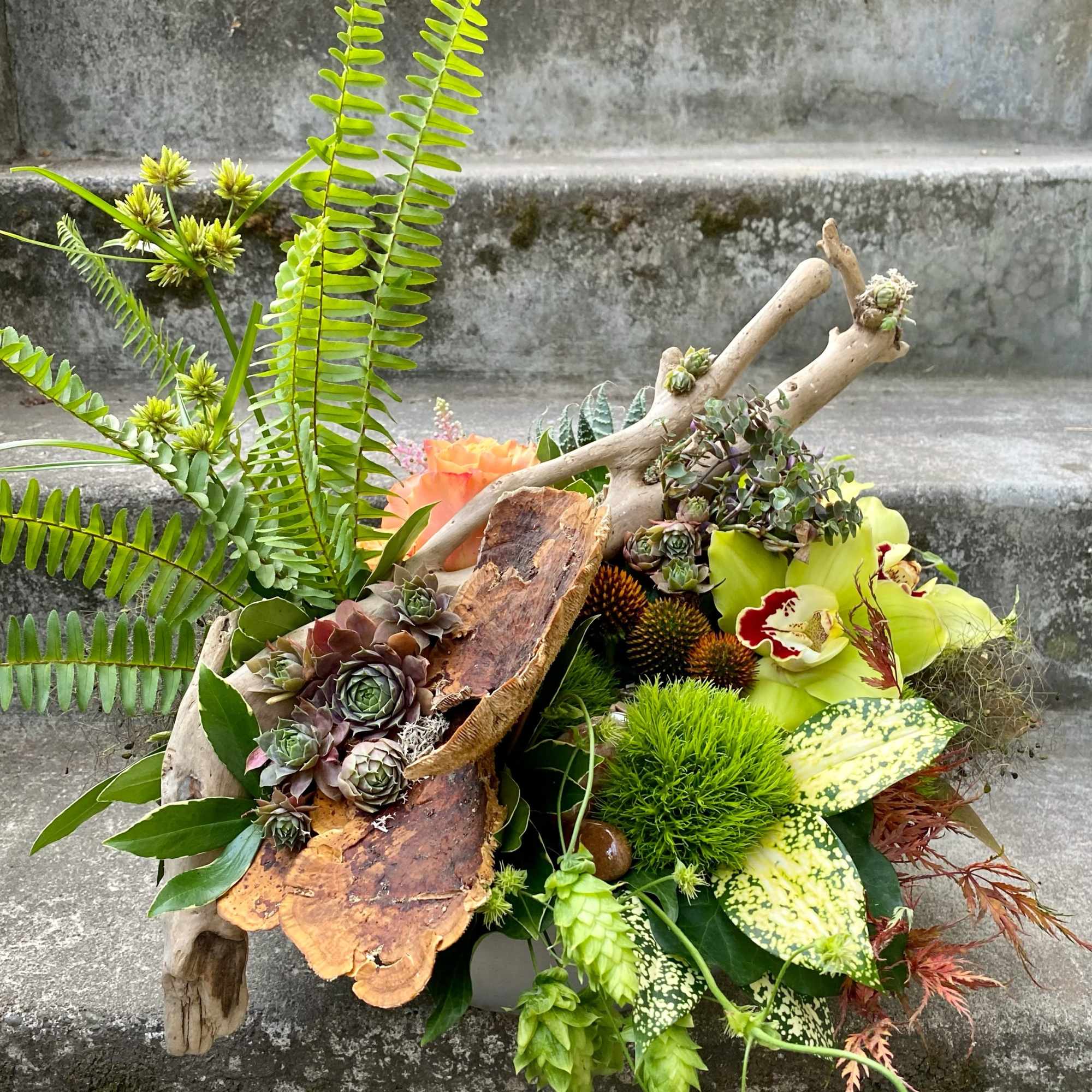 Tropical floral arrangement with succulents, orchids, and driftwood