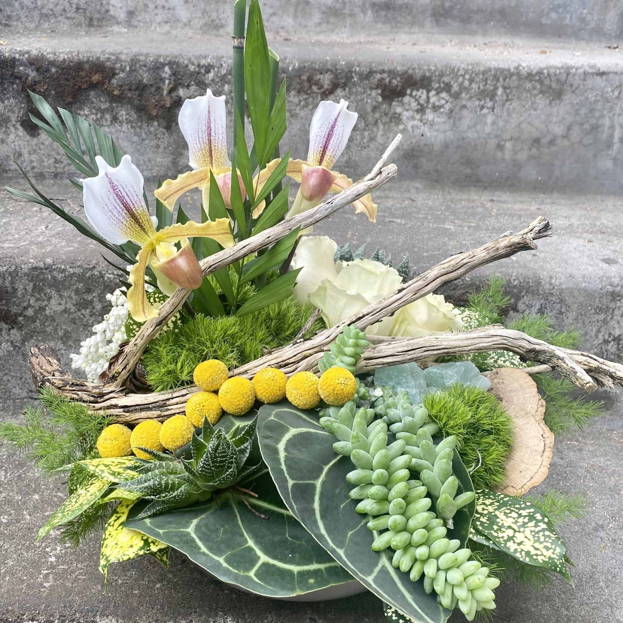 Low floral arrangement with white orchids, succulents, and driftwood
