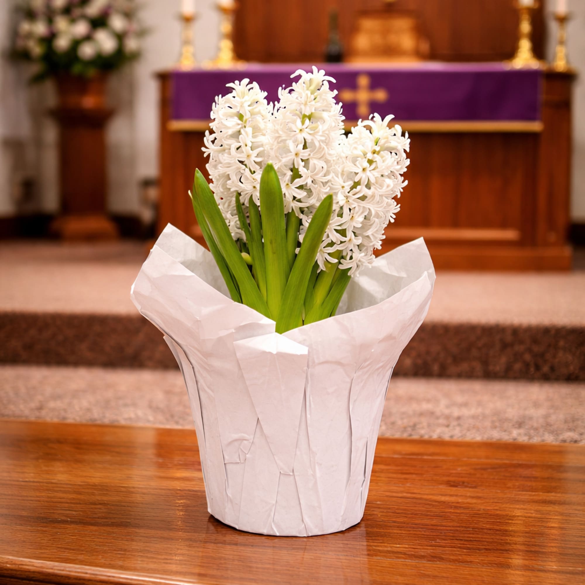 Potted white hyacinth flowers wrapped in white paper, displayed on a wooden step in a church.