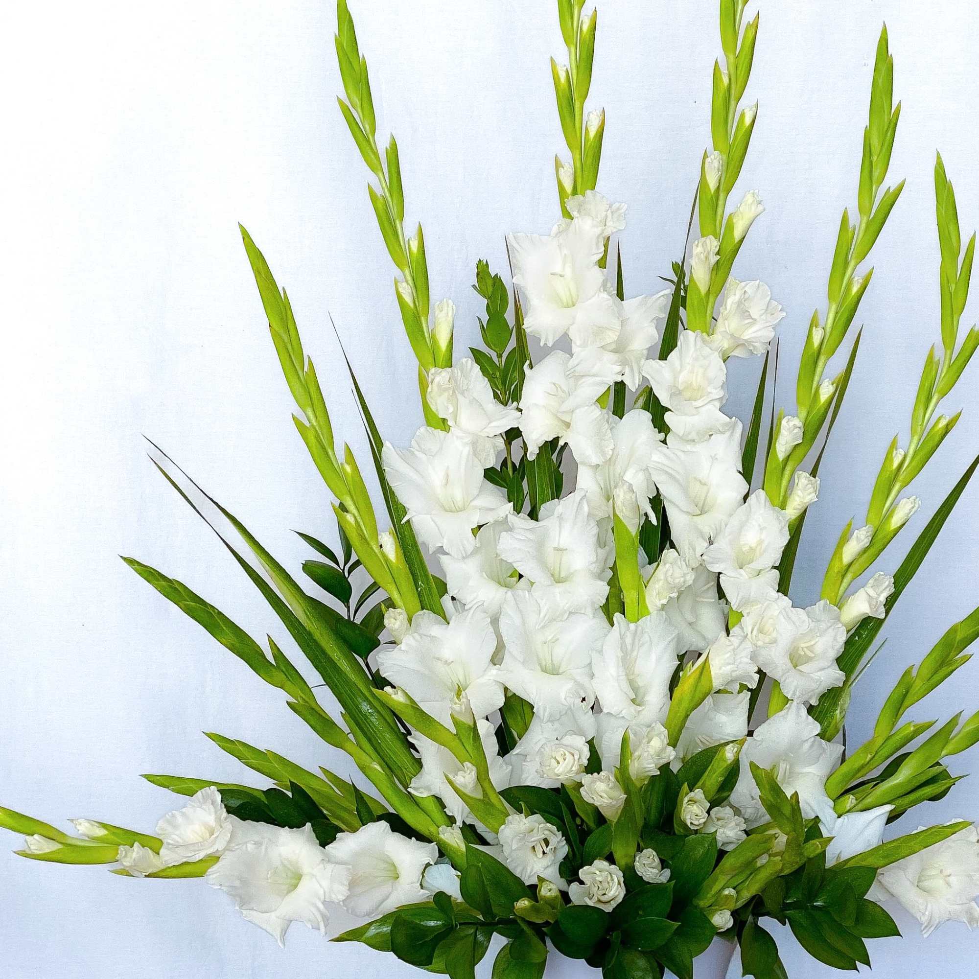 An all white classic arrangement of gladiolus designed tall and elegant to, photo 2 of 2