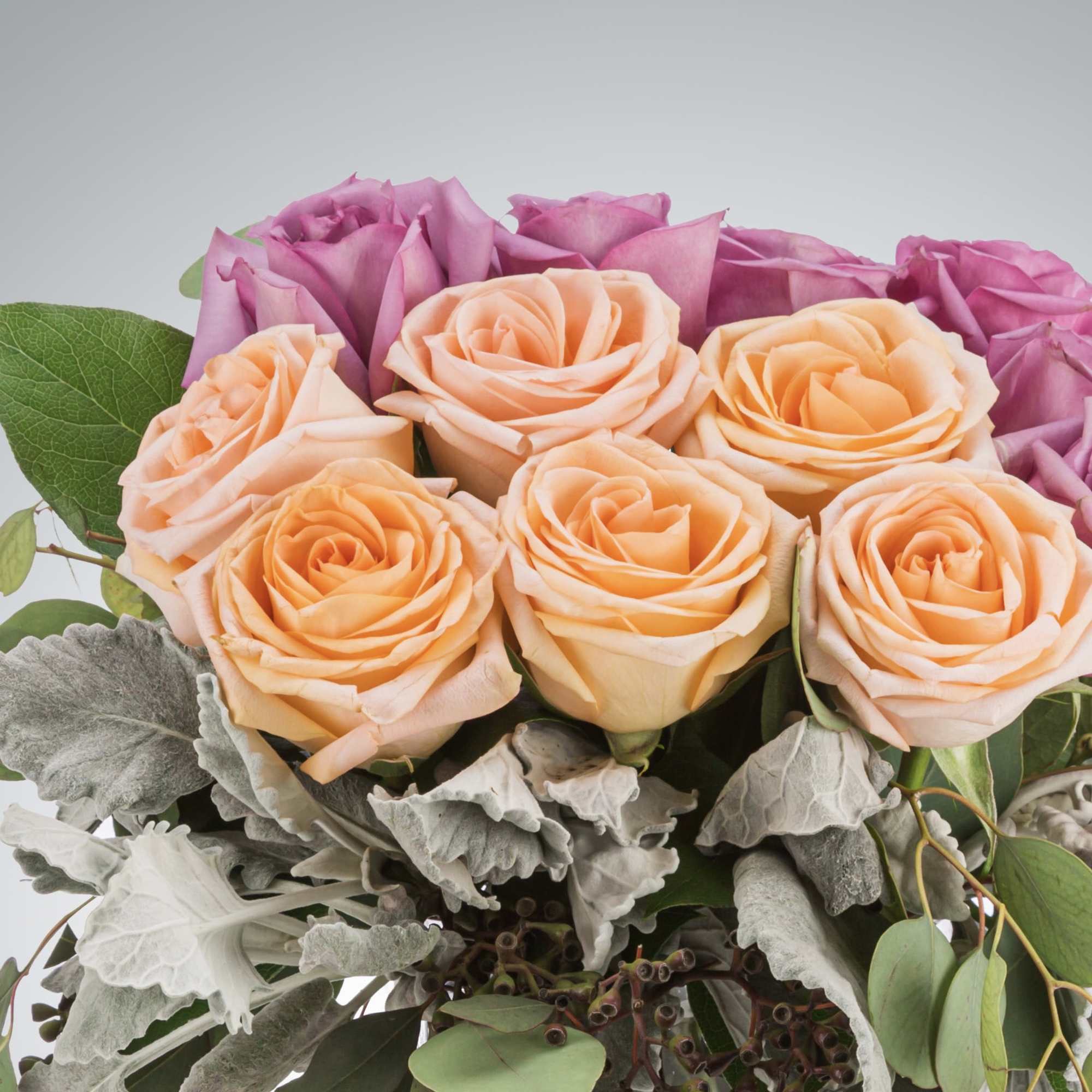 This luxury arrangement of a dozen or 12 Ecuadorian peach and purple, photo 2 of 2