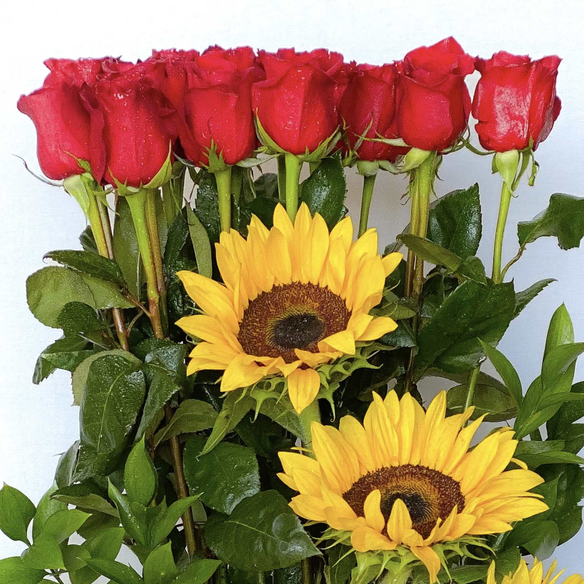 Red roses with yellow sunflowers in a bouquet