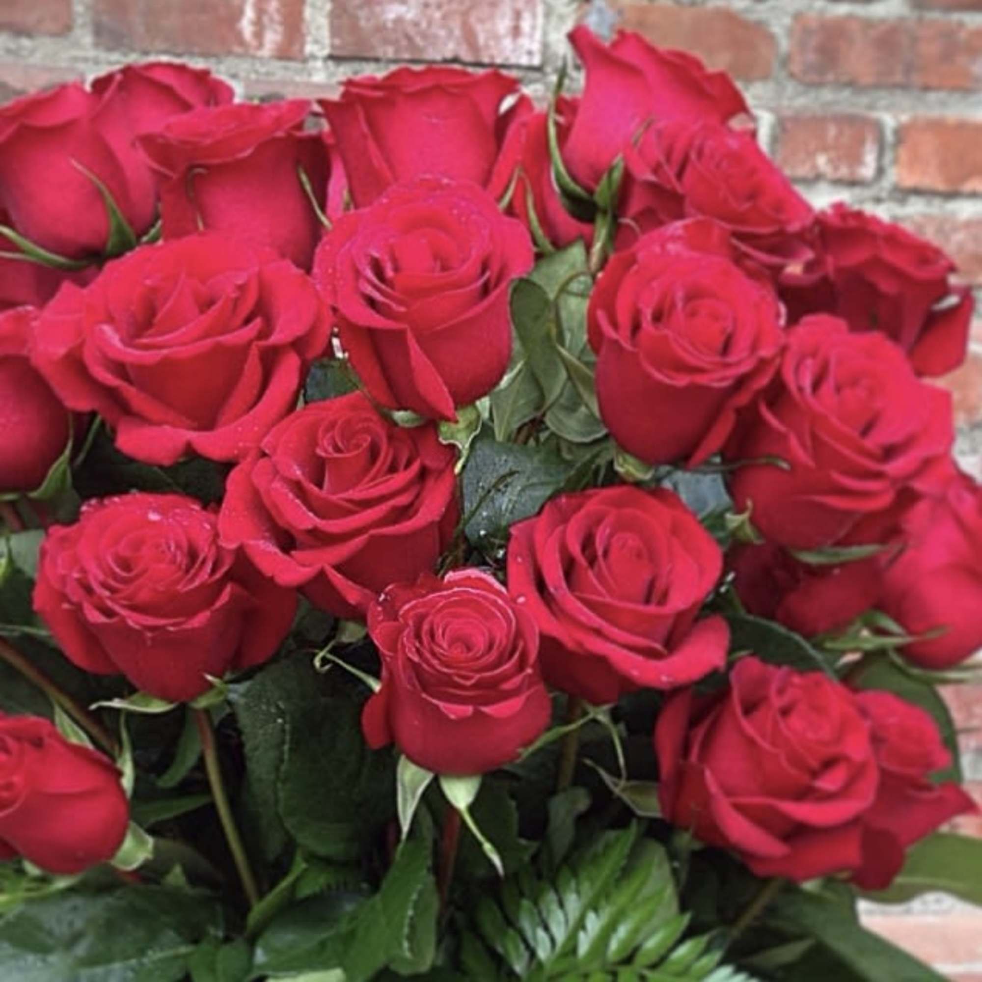Bouquet of red roses against a brick wall