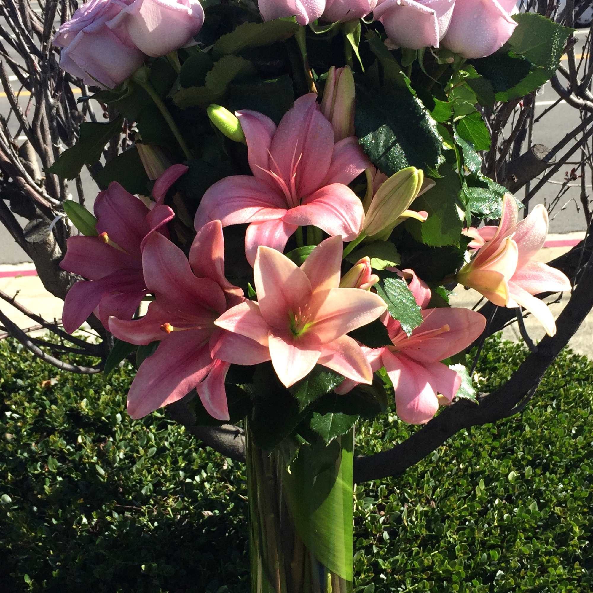 Pink roses and lilies arranged in a tall glass vase