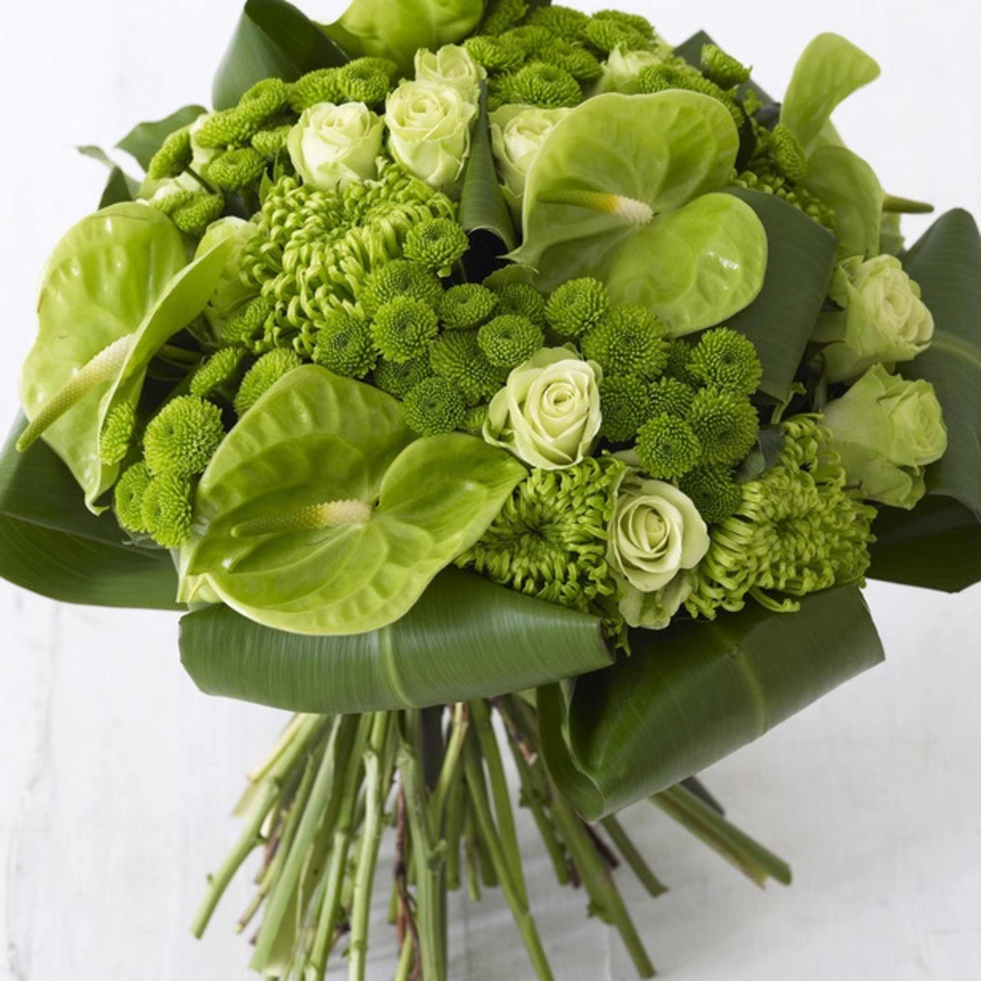 Green bouquet with roses, chrysanthemums, and anthuriums
