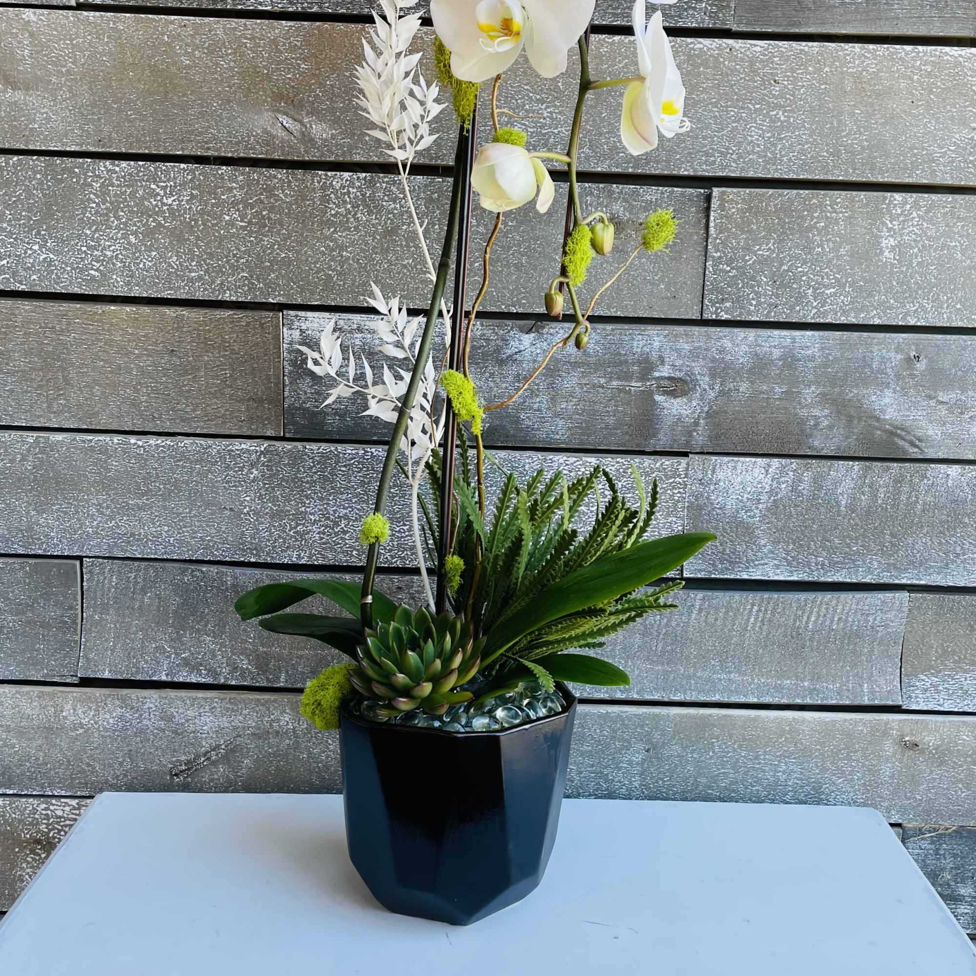 White orchid arrangement in a black pot with succulents and decorative foliage