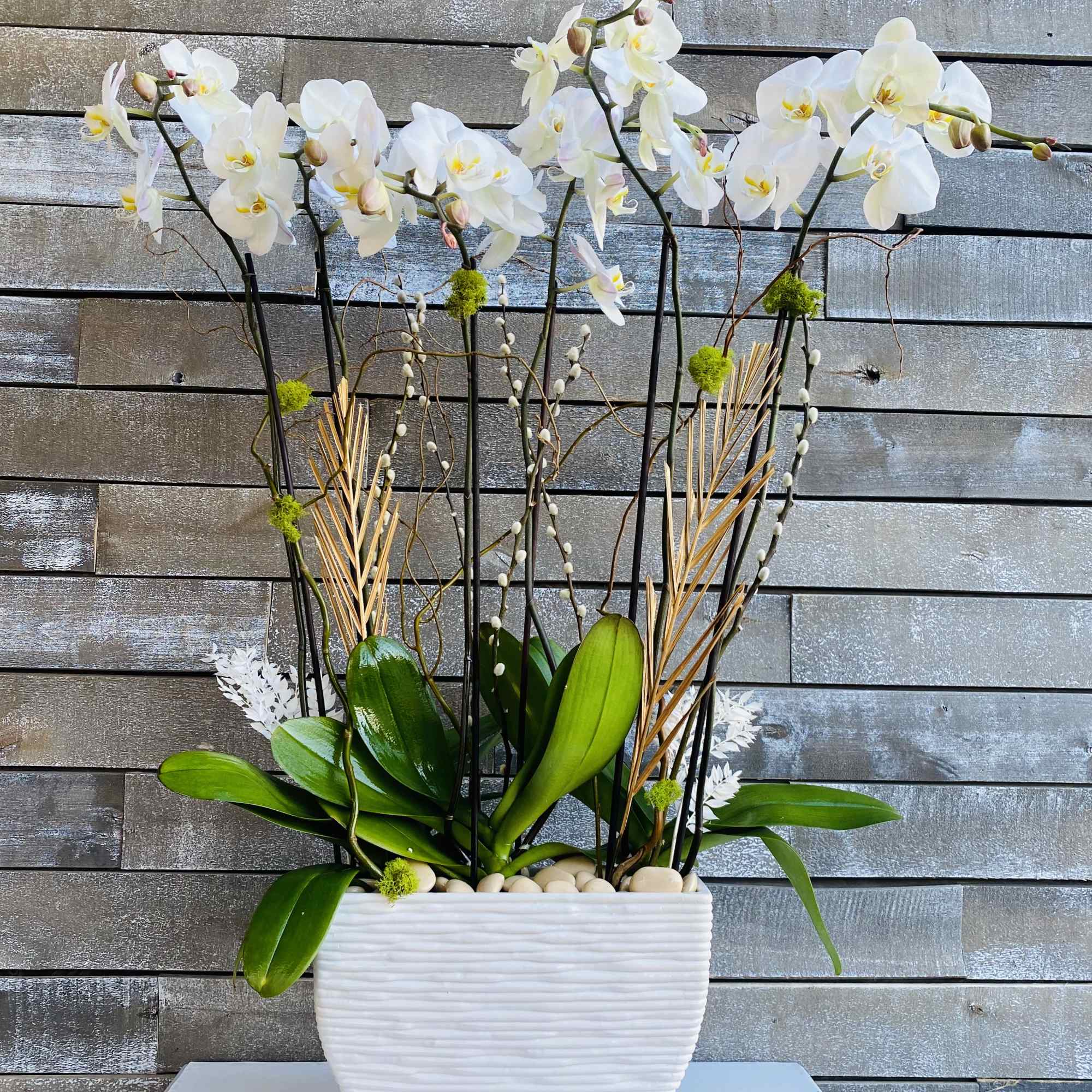 White orchids arranged in a white planter with decorative branches