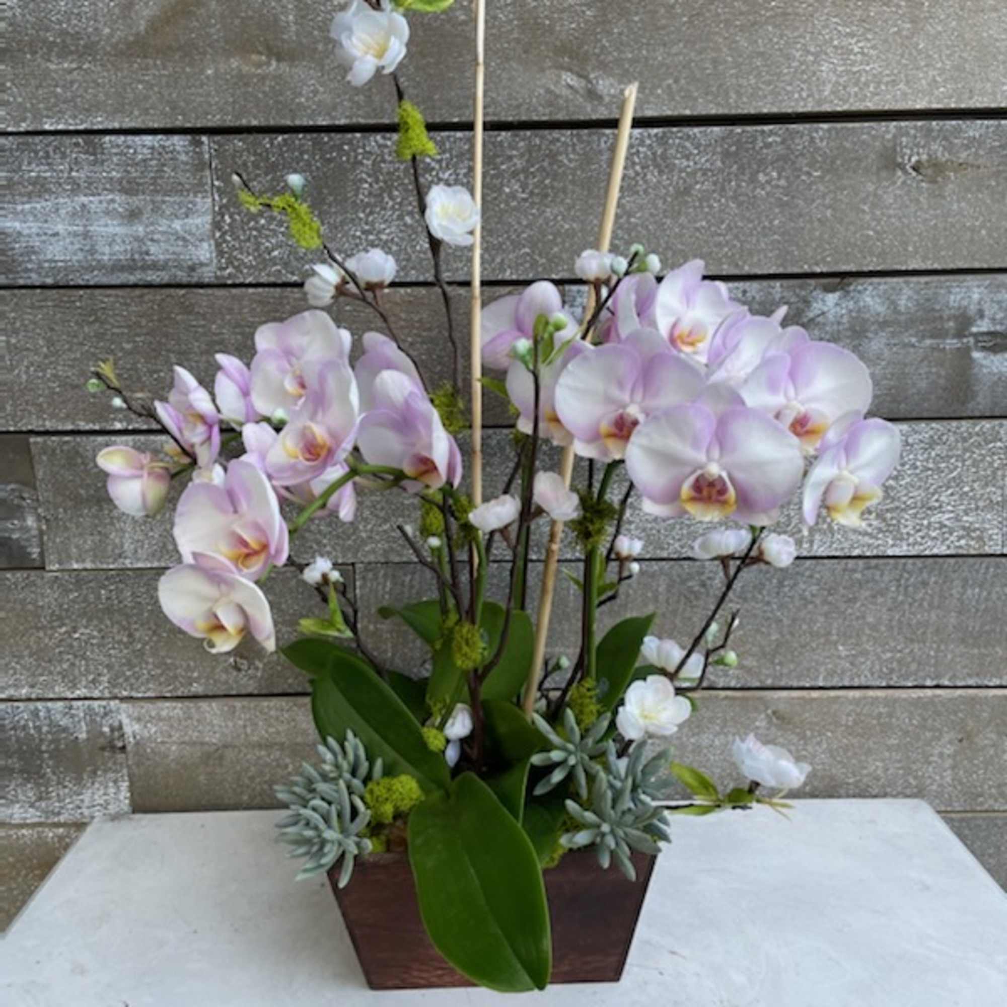 Pink and white orchids arranged in a rectangular wooden planter.