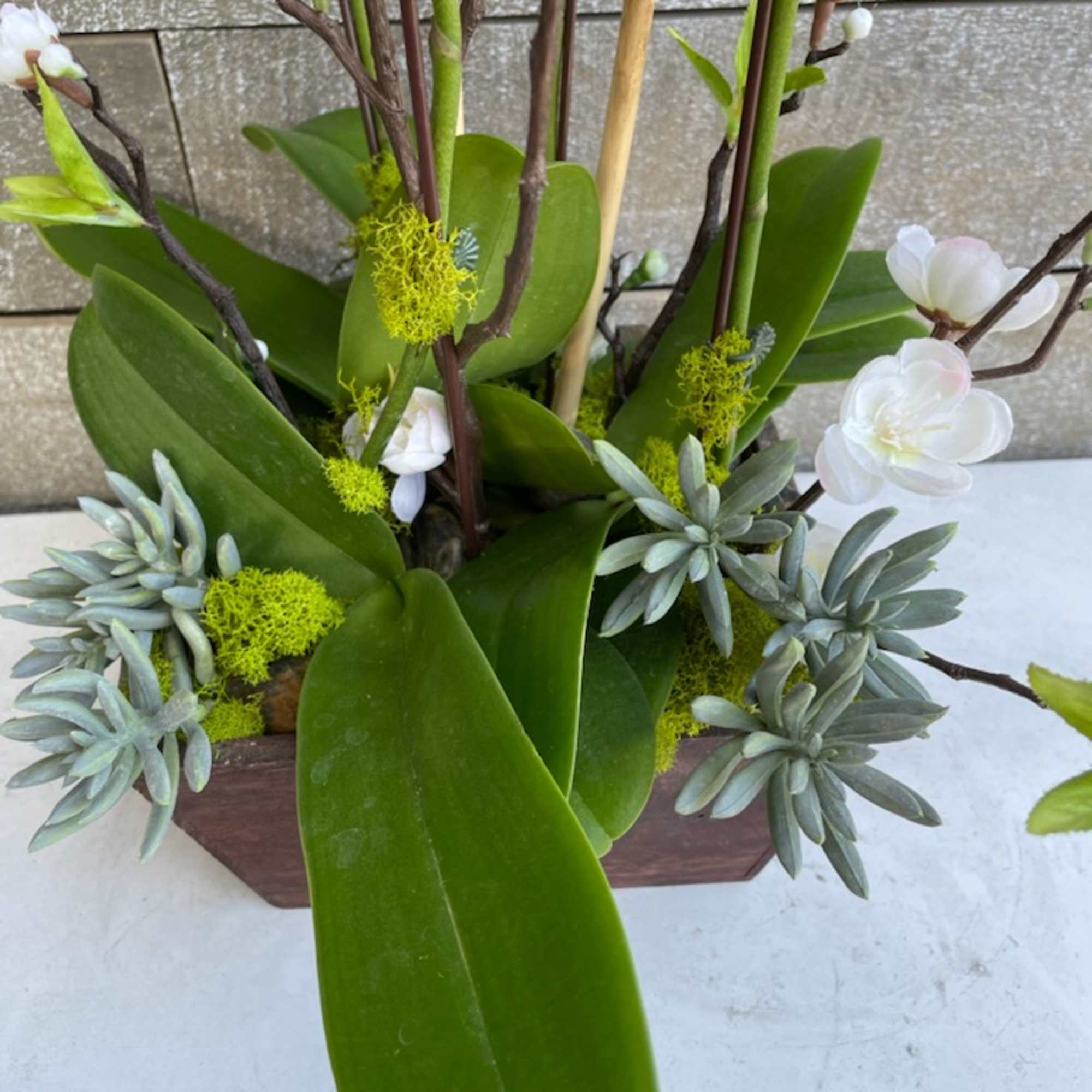 Modern floral arrangement with white blossoms and succulents in a rectangular container