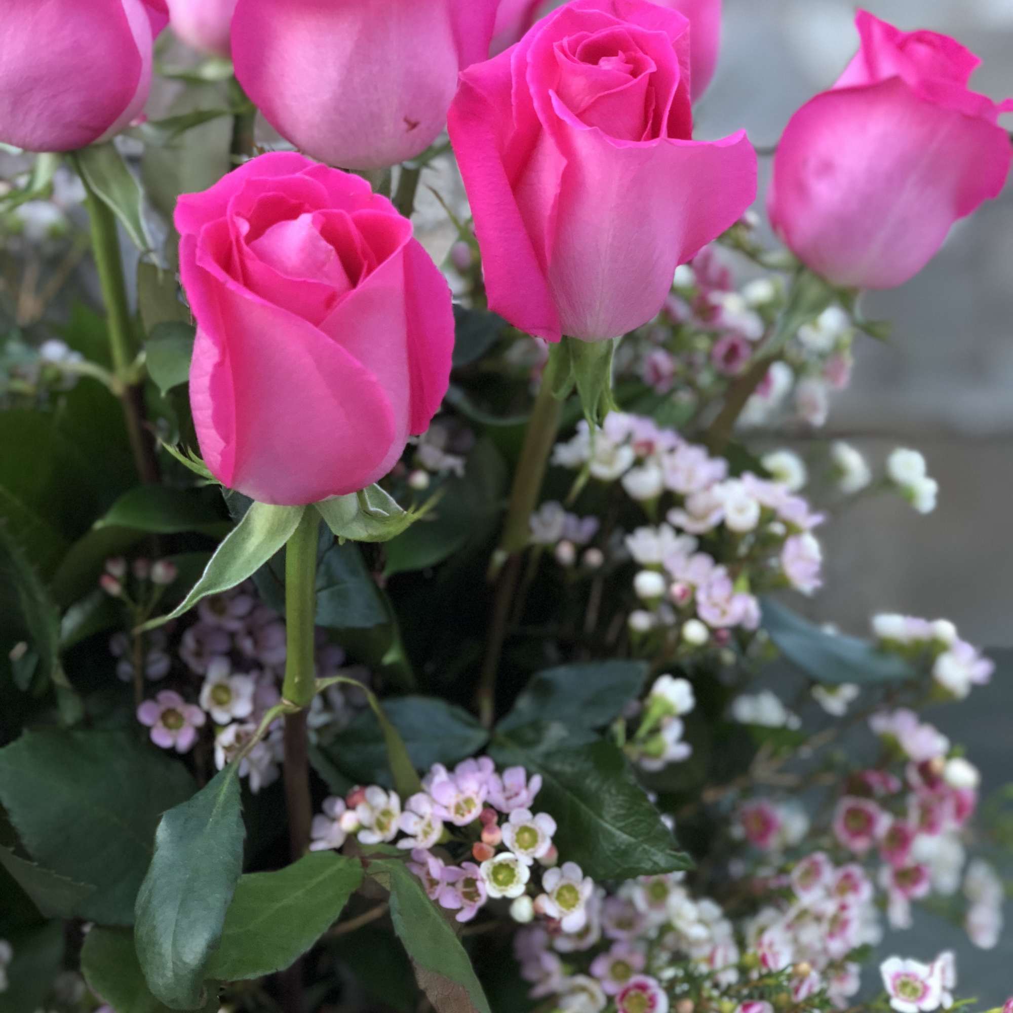 Bouquet of bright pink roses with small white filler flowers