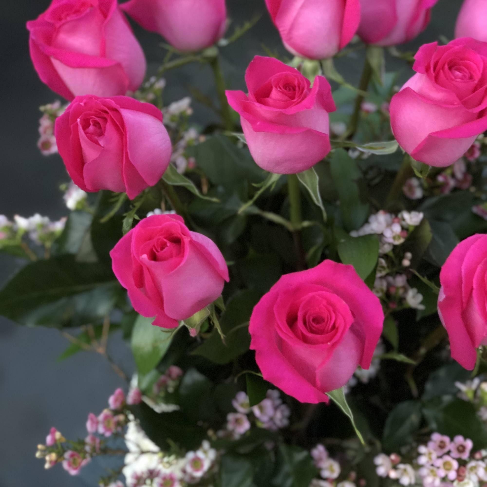 Bouquet of hot pink roses with small white and pink filler flowers
