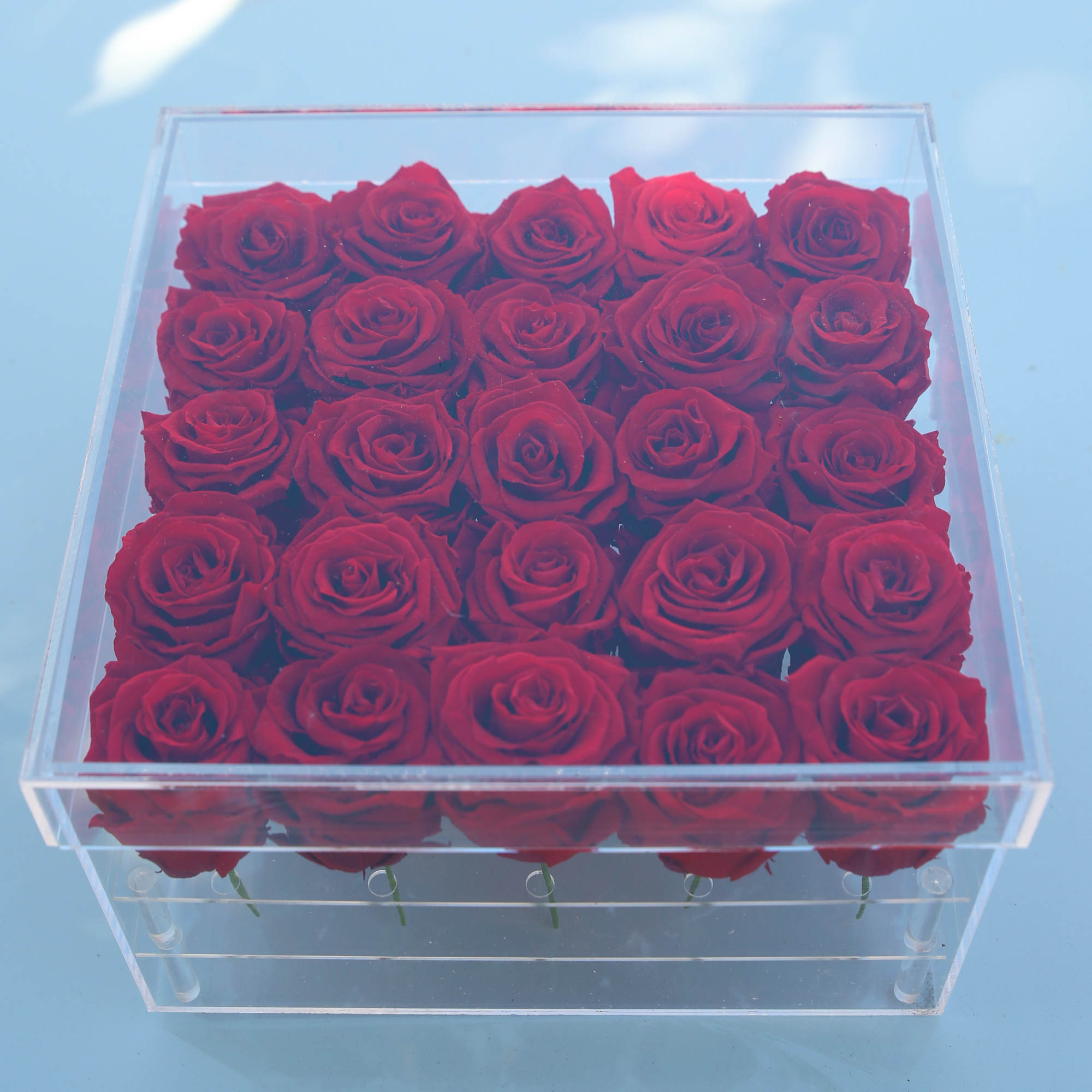 Red roses arranged in a clear square box