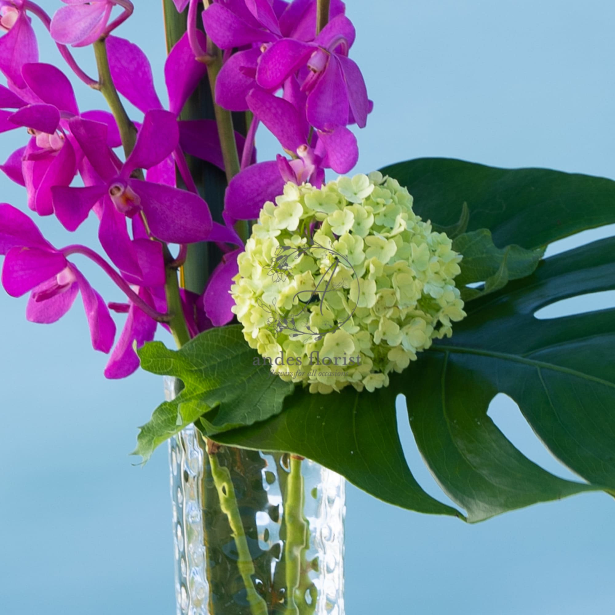Purple orchids with a pale green hydrangea bloom in a clear glass vase