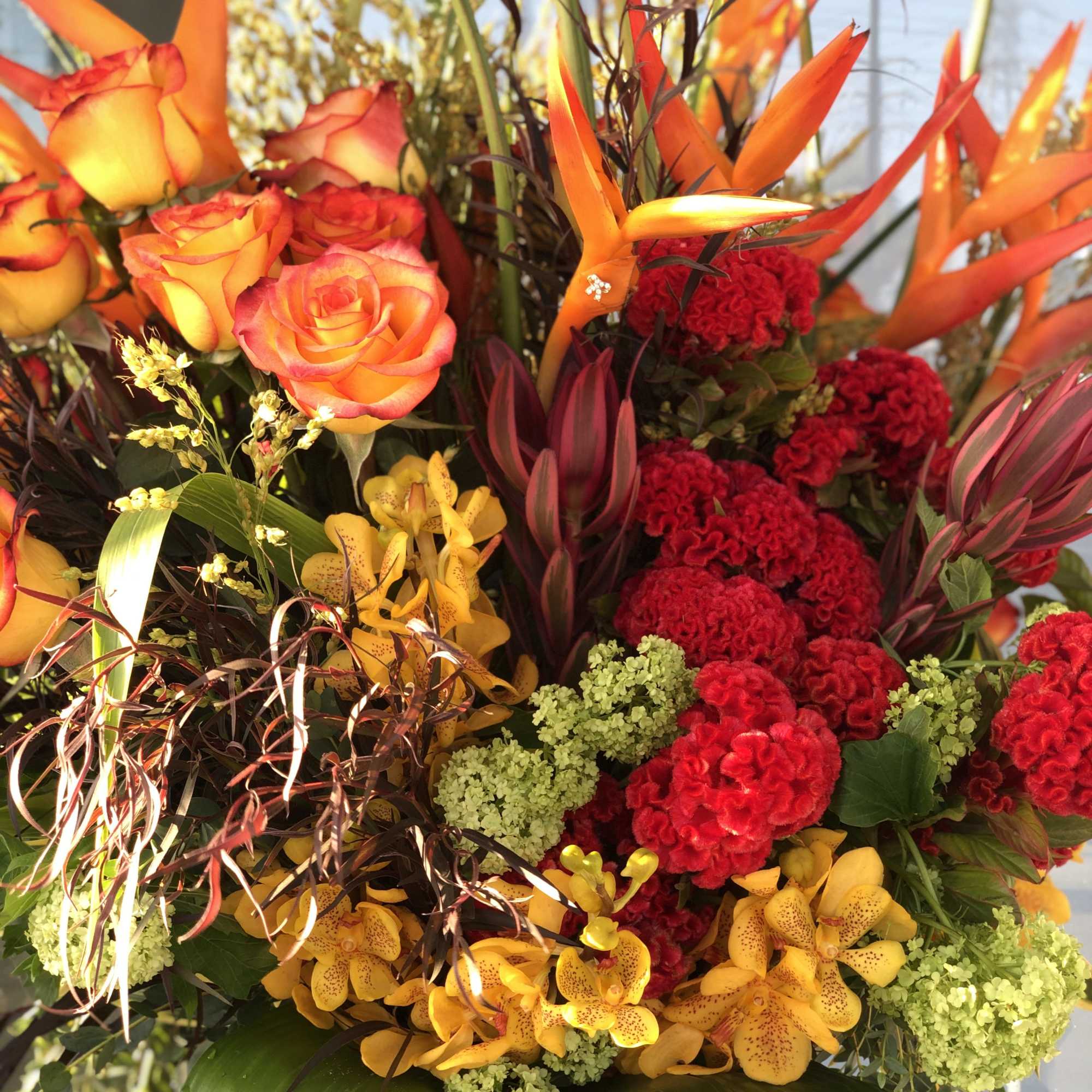 Tropical bouquet with orange roses, orchids, and red cockscomb