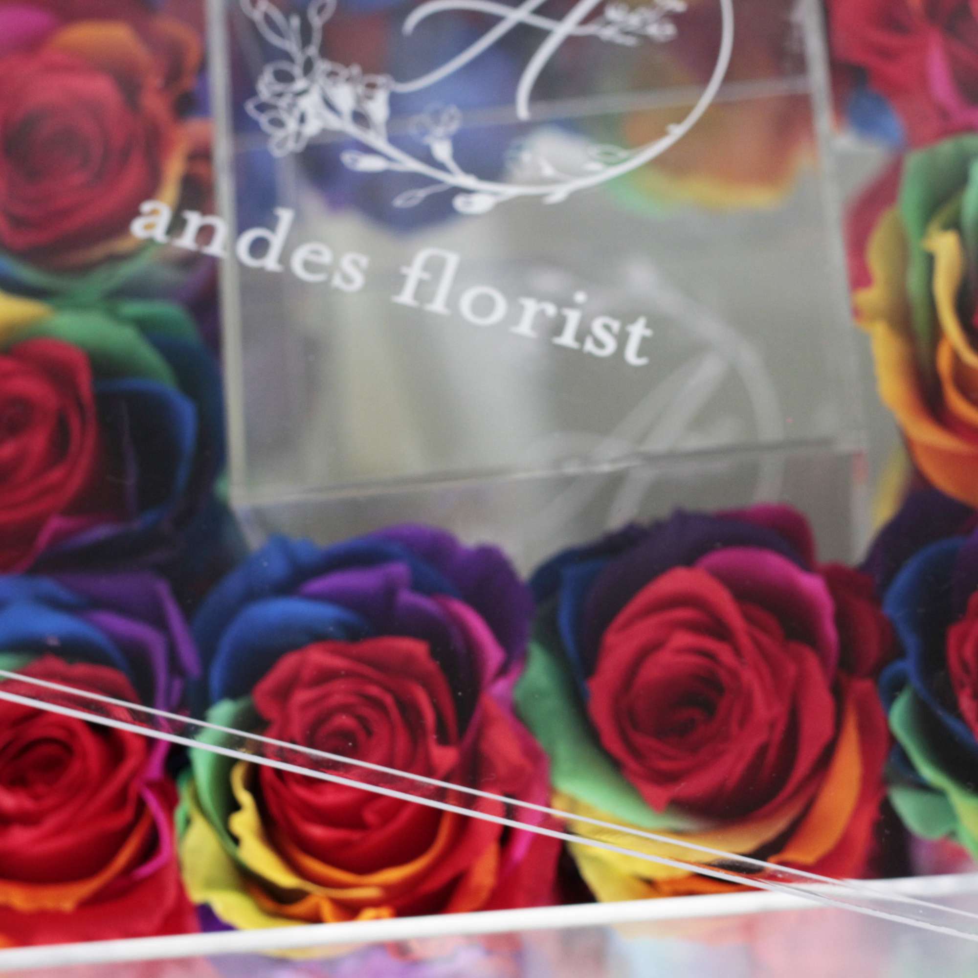 Box of rainbow-colored roses with clear lid