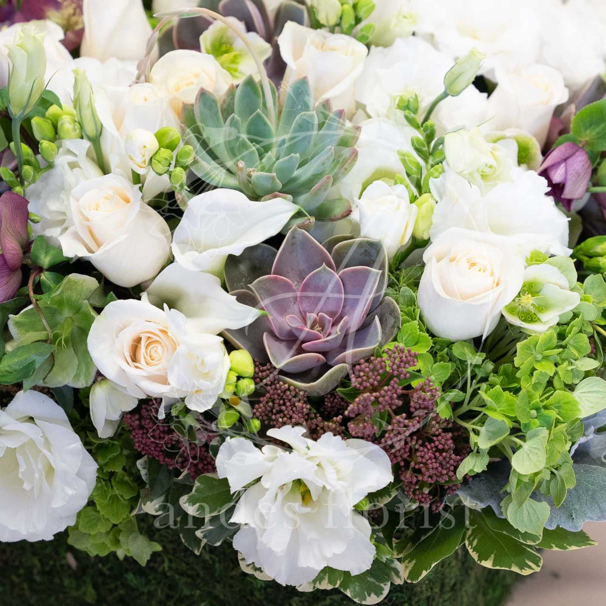White roses and succulents arranged with purple accents