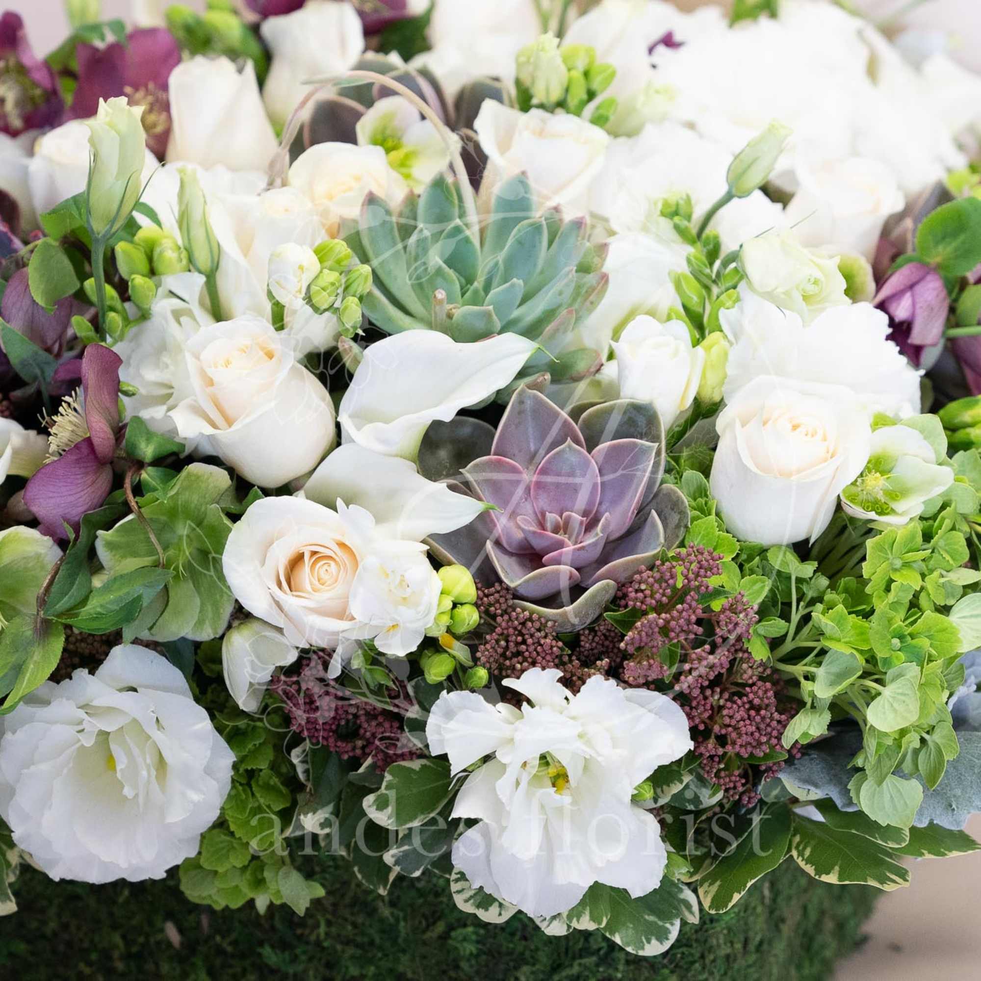 White roses and lisianthus arranged with succulents in a low container.