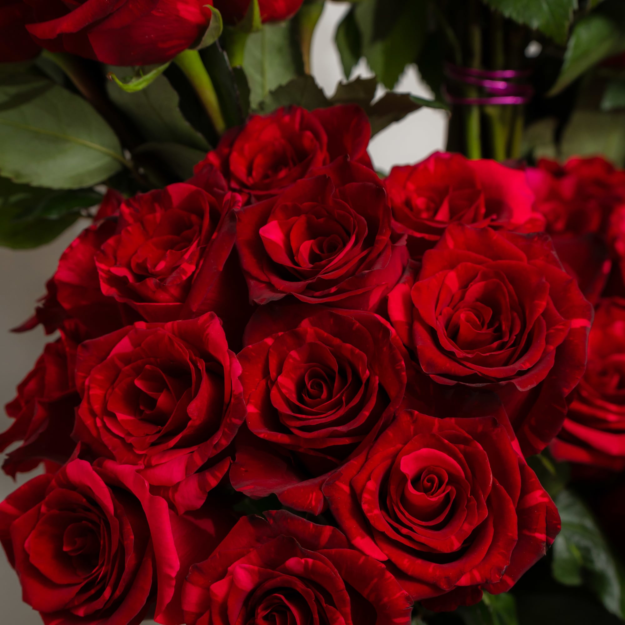 Bouquet of red roses with green foliage
